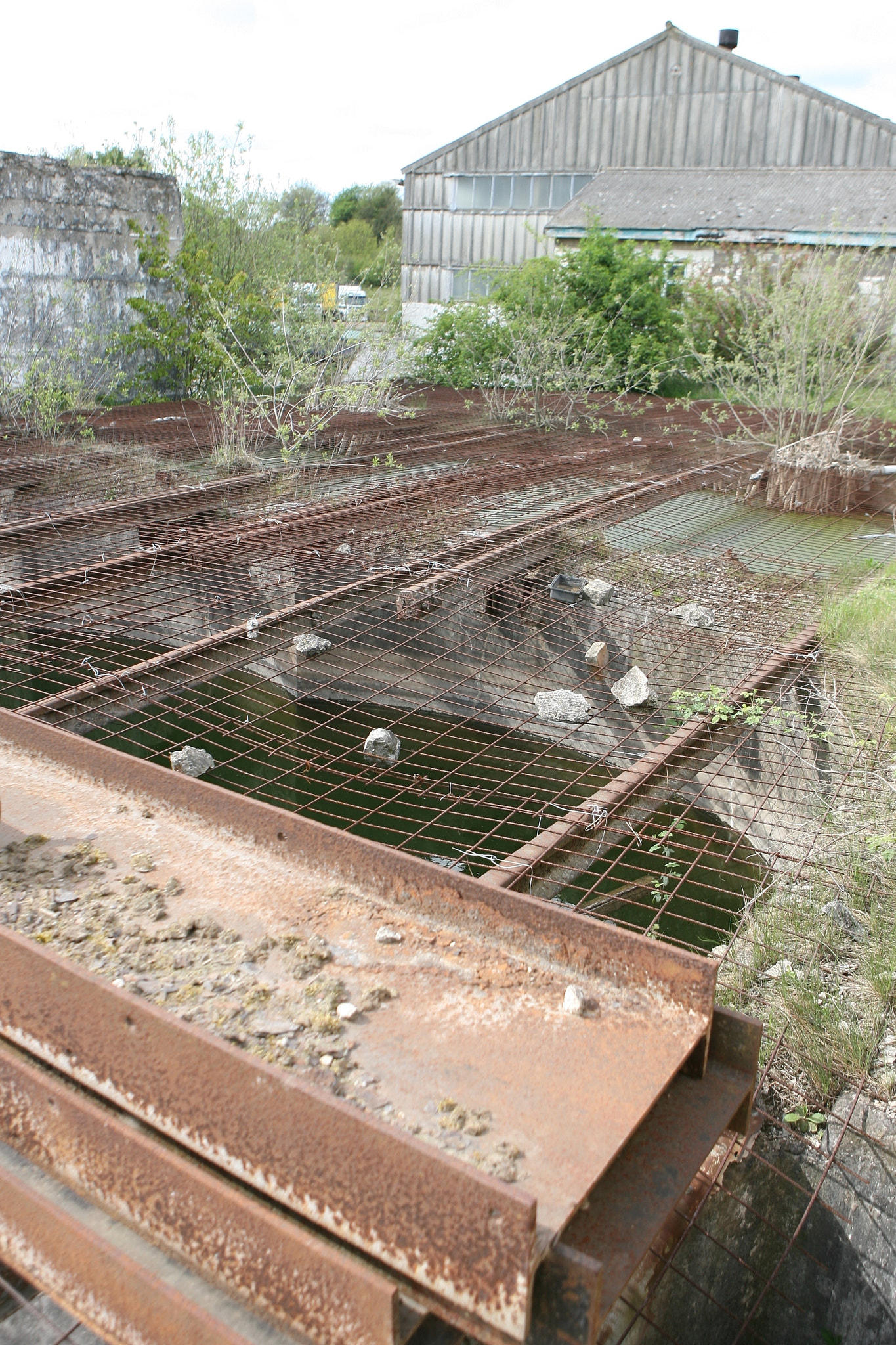 Canon EOS-1D Mark II N sample photo. Old cement works photography
