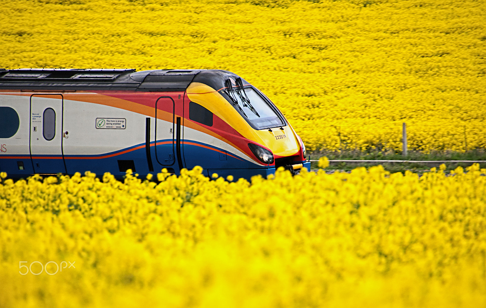 Sony Alpha DSLR-A700 + DT 18-270mm F3.5-6.3 sample photo. Yellow crop. photography