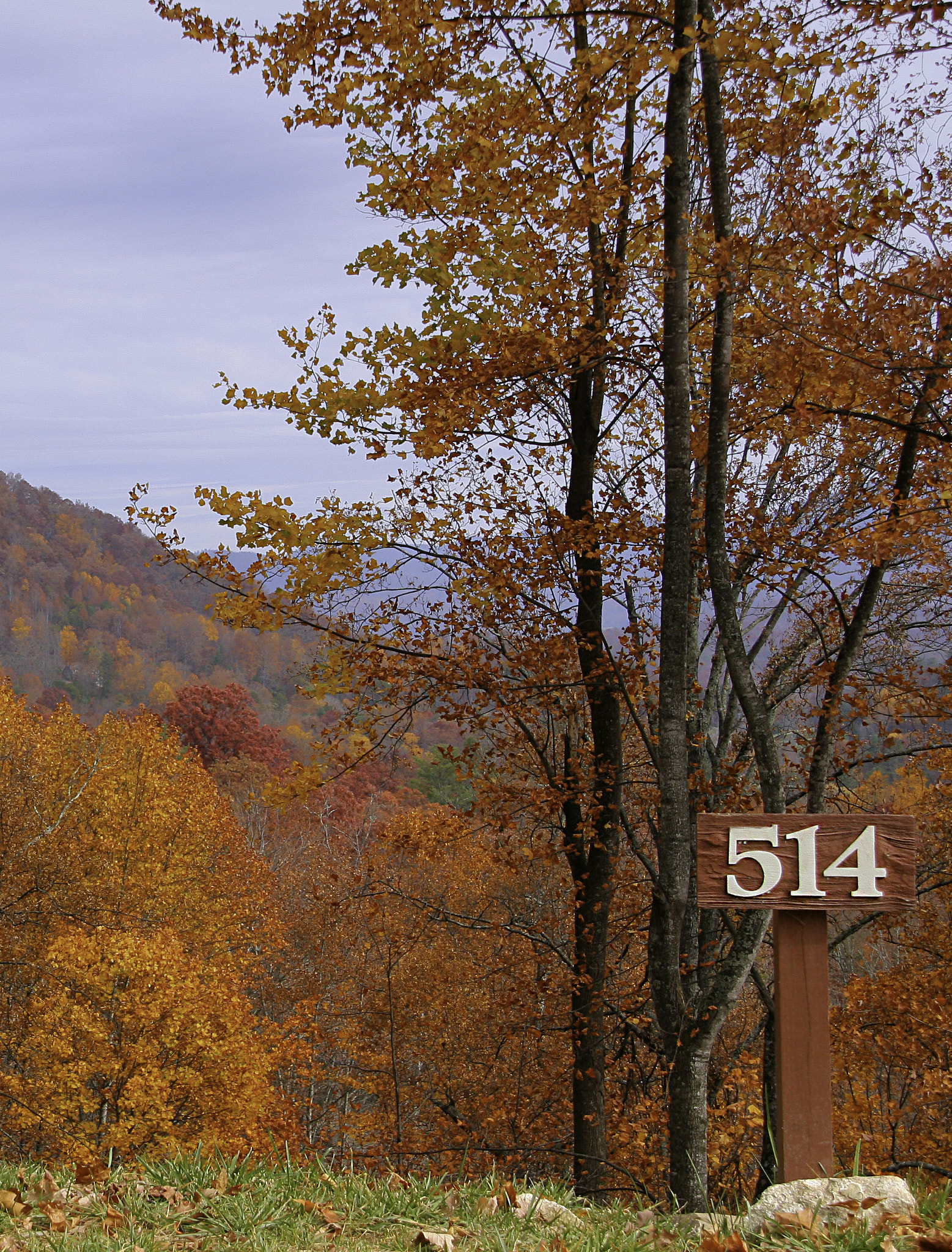 Sigma 18-200mm f/3.5-6.3 DC OS sample photo. Fall photography