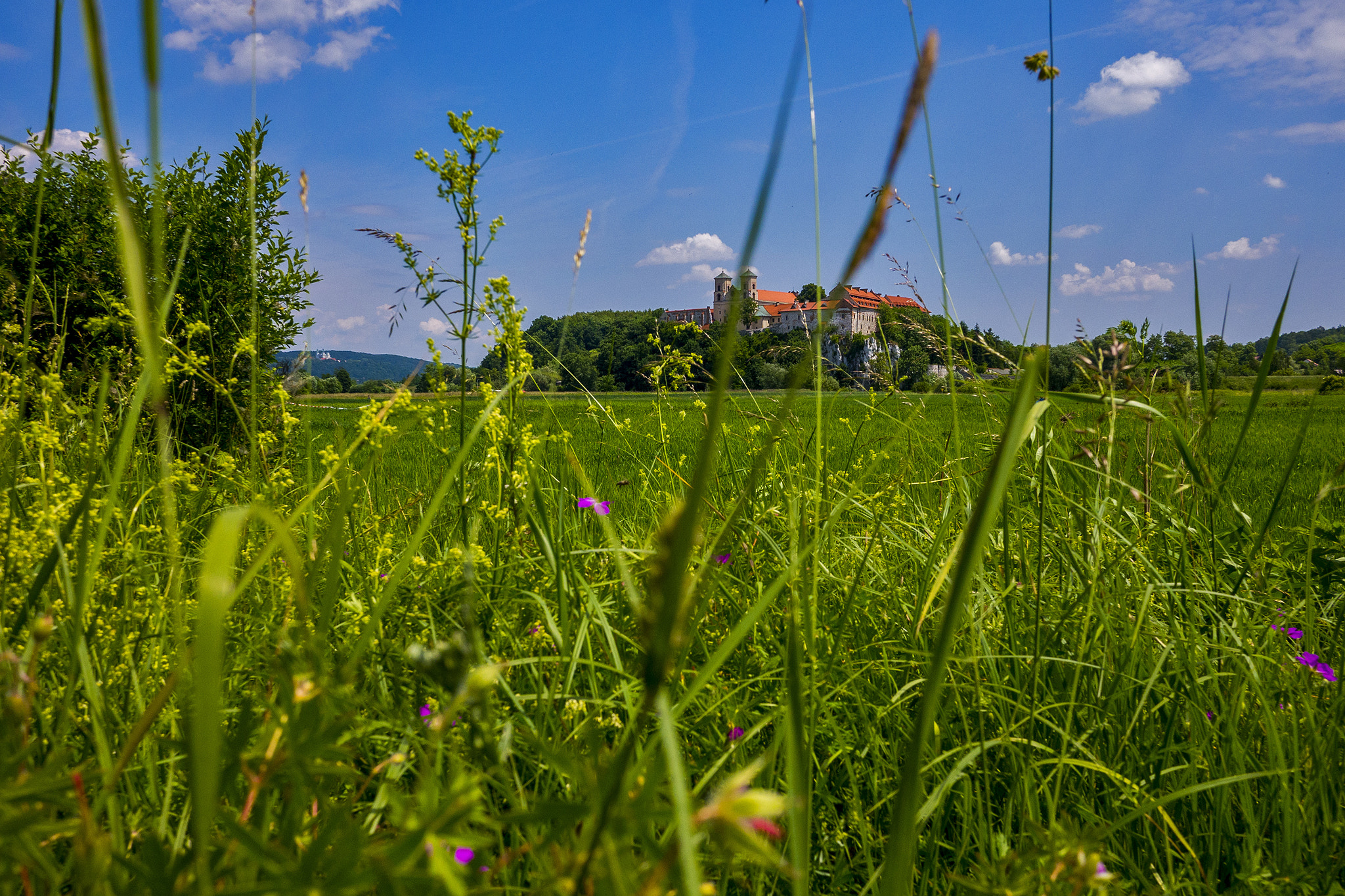 Panasonic Lumix DMC-GX7 + Panasonic Lumix G 14mm F2.5 ASPH sample photo. Find second castle photography