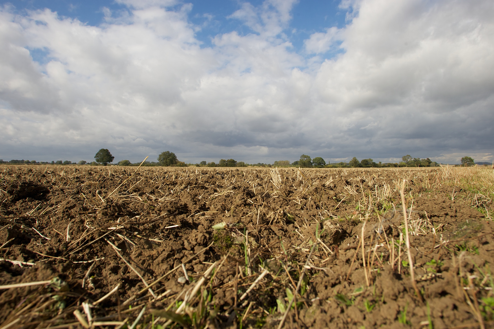Canon EF 17-35mm f/2.8L sample photo. Lincolnshire landscapes photography