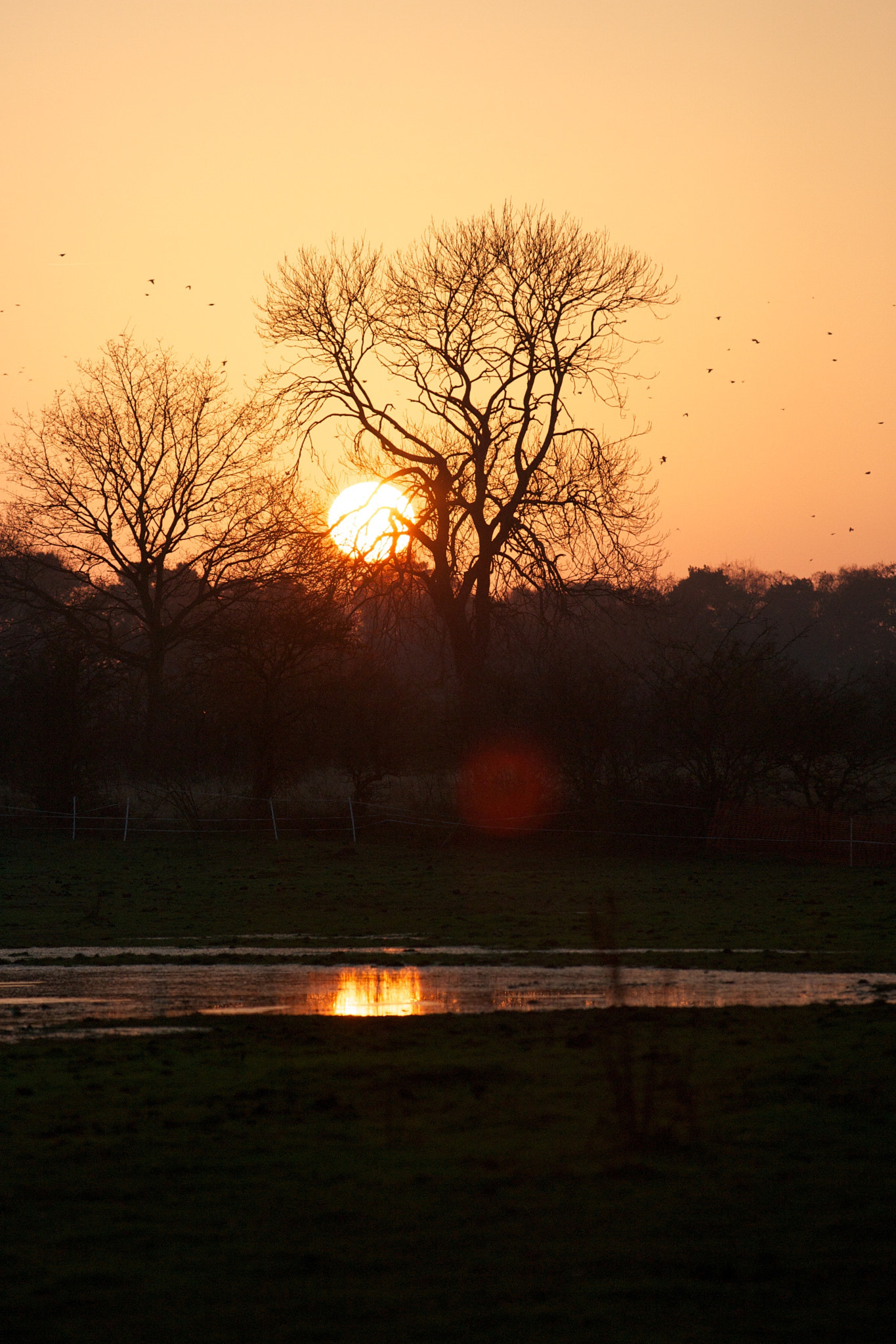 Canon EOS-1D Mark II N sample photo. Lincolnshire landscapes photography