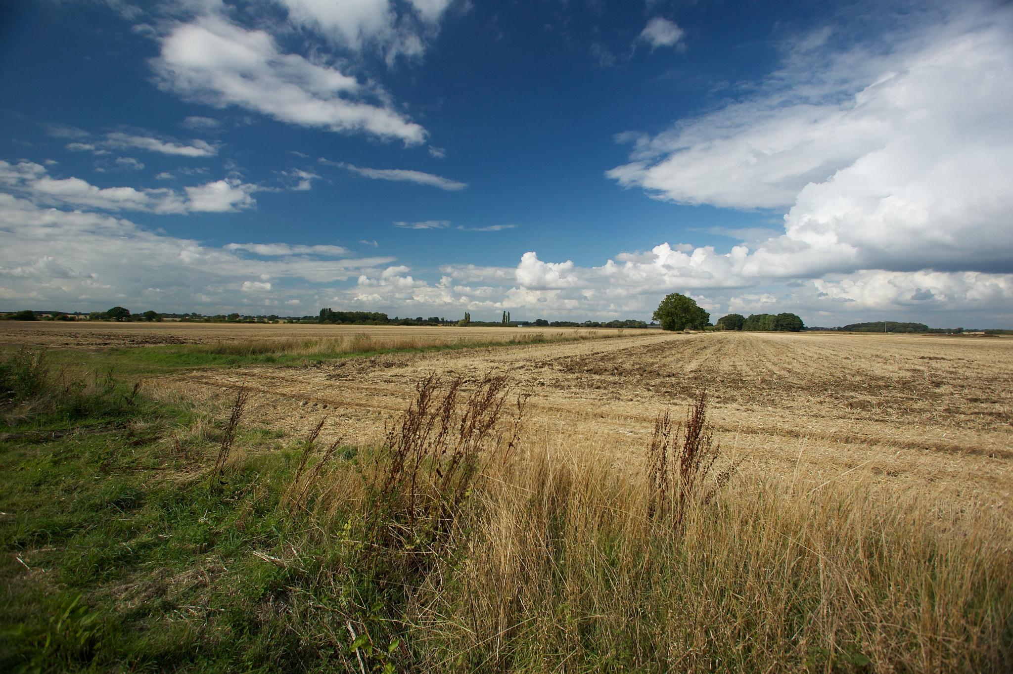 Canon EOS-1Ds + Canon EF 17-35mm f/2.8L sample photo. Lincolnshire landscapes photography