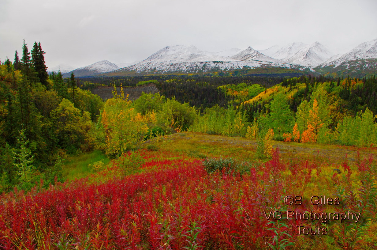 Pentax smc DA 18-55mm F3.5-5.6 AL WR sample photo. Yukon color photography