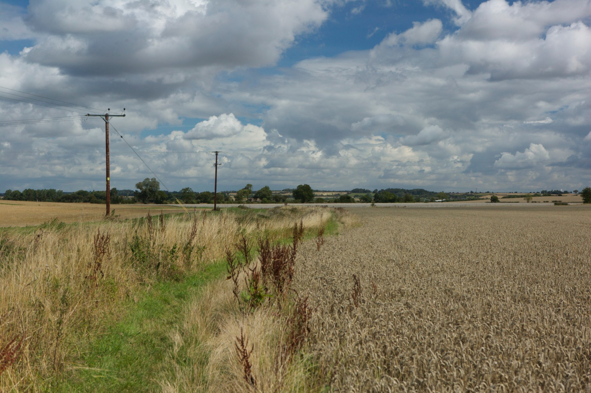 Canon EOS-1Ds + Canon EF 24-70mm F2.8L USM sample photo. Northorpe, lincolnshire photography