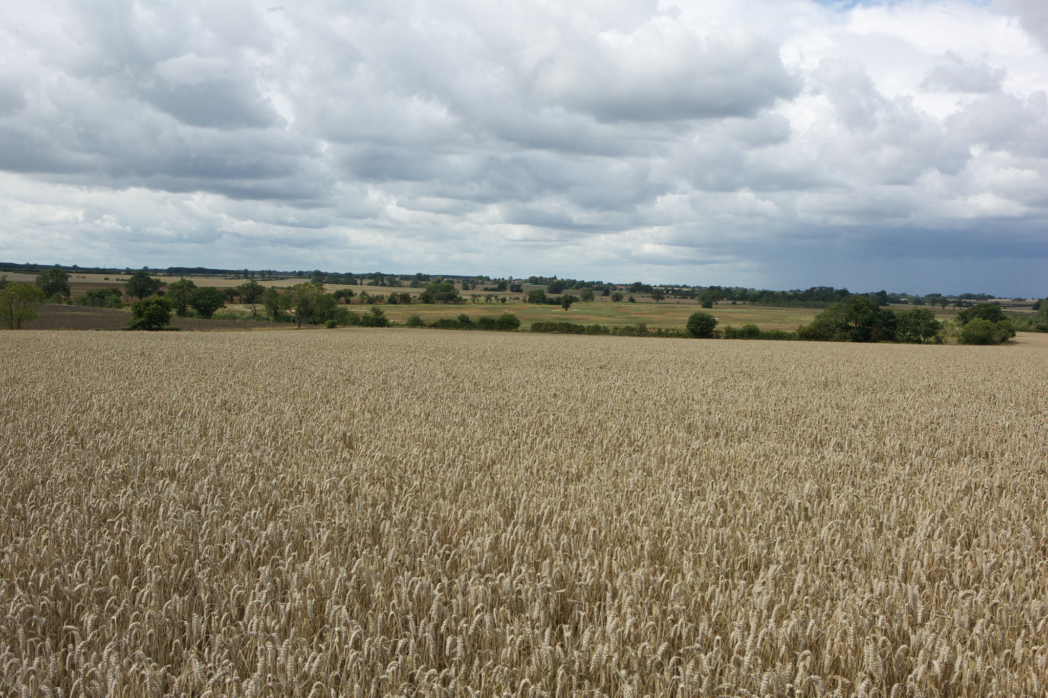 Canon EOS-1Ds + Canon EF 24-70mm F2.8L USM sample photo. Northorpe, lincolnshire photography