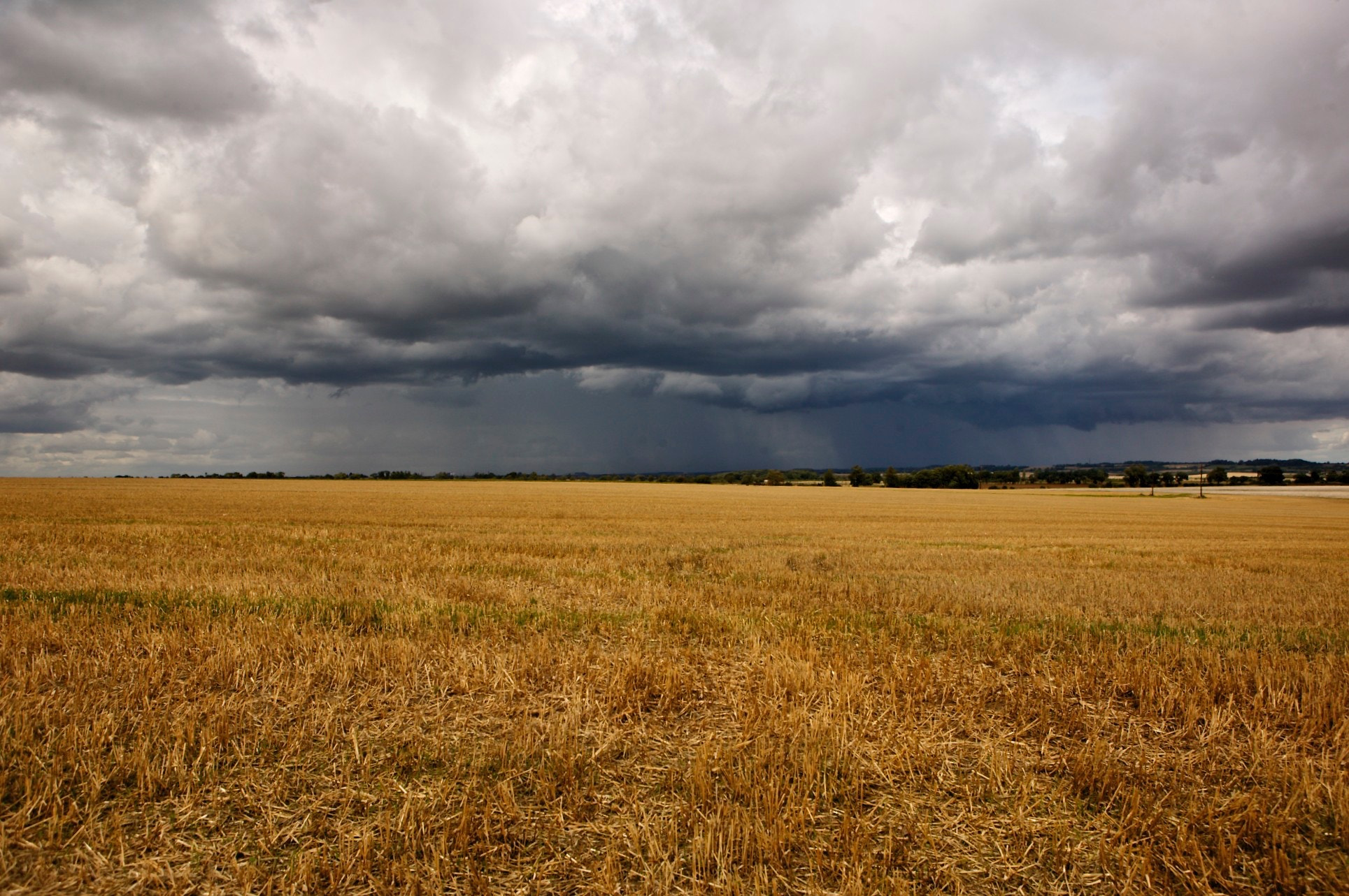 Canon EOS-1Ds + Canon EF 24-70mm F2.8L USM sample photo. Northorpe, lincolnshire photography