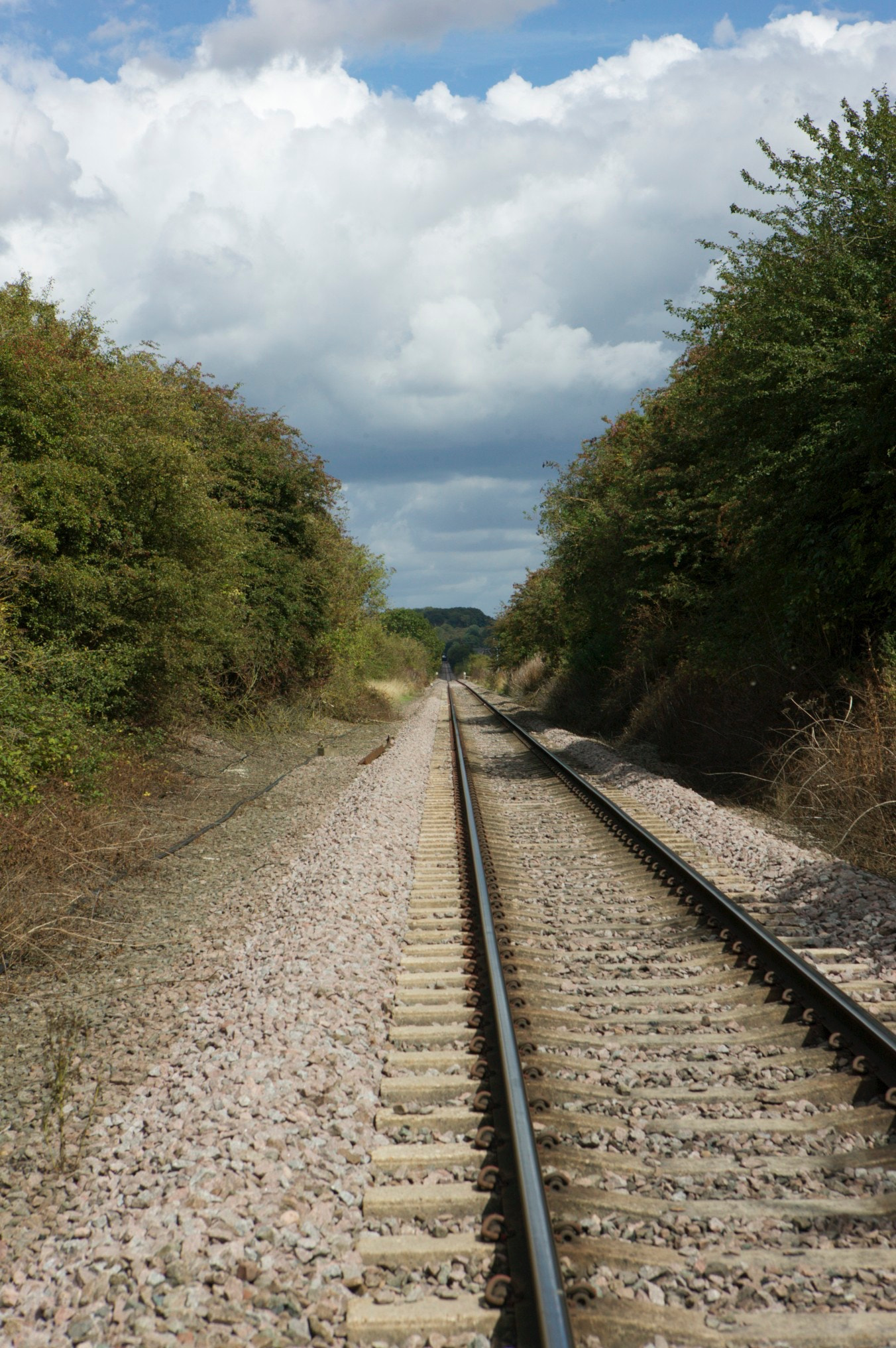 Canon EOS-1Ds + Canon EF 24-70mm F2.8L USM sample photo. Northorpe, lincolnshire photography