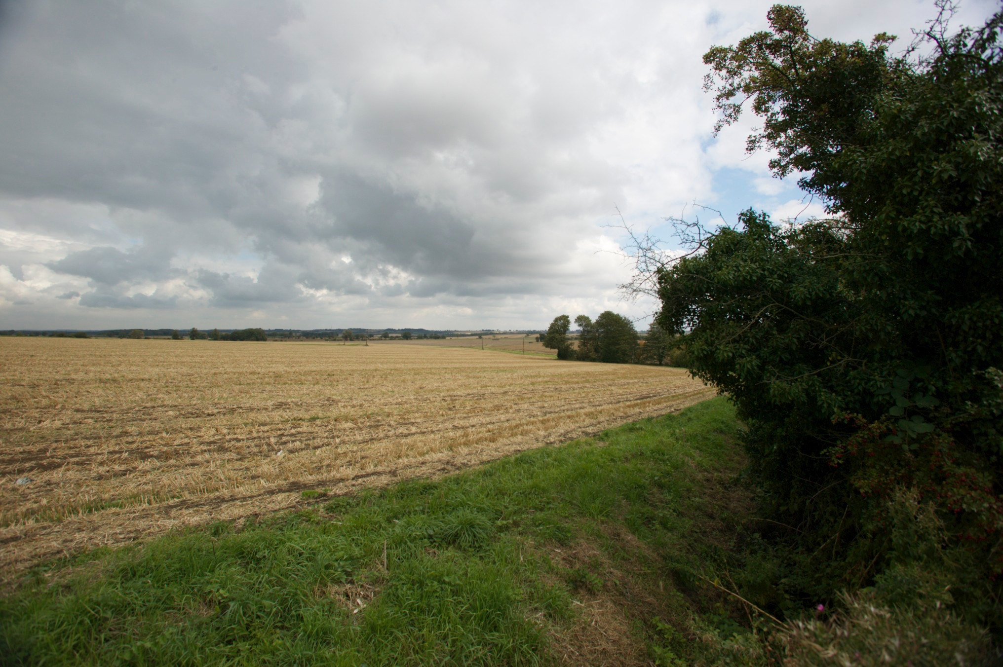 Canon EOS-1Ds + Canon EF 17-35mm f/2.8L sample photo. Northorpe, lincolnshire photography