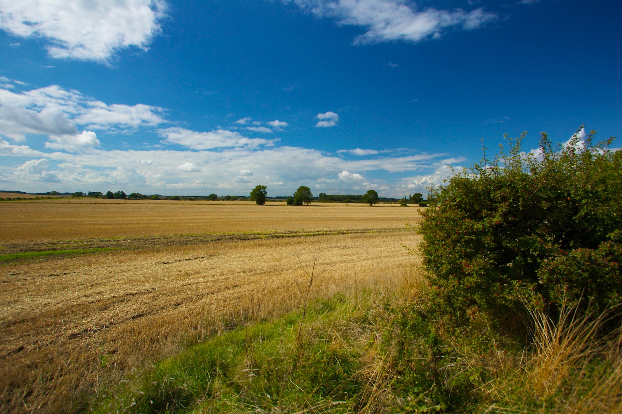 Canon EOS-1Ds + Canon EF 17-35mm f/2.8L sample photo. Northorpe, lincolnshire photography