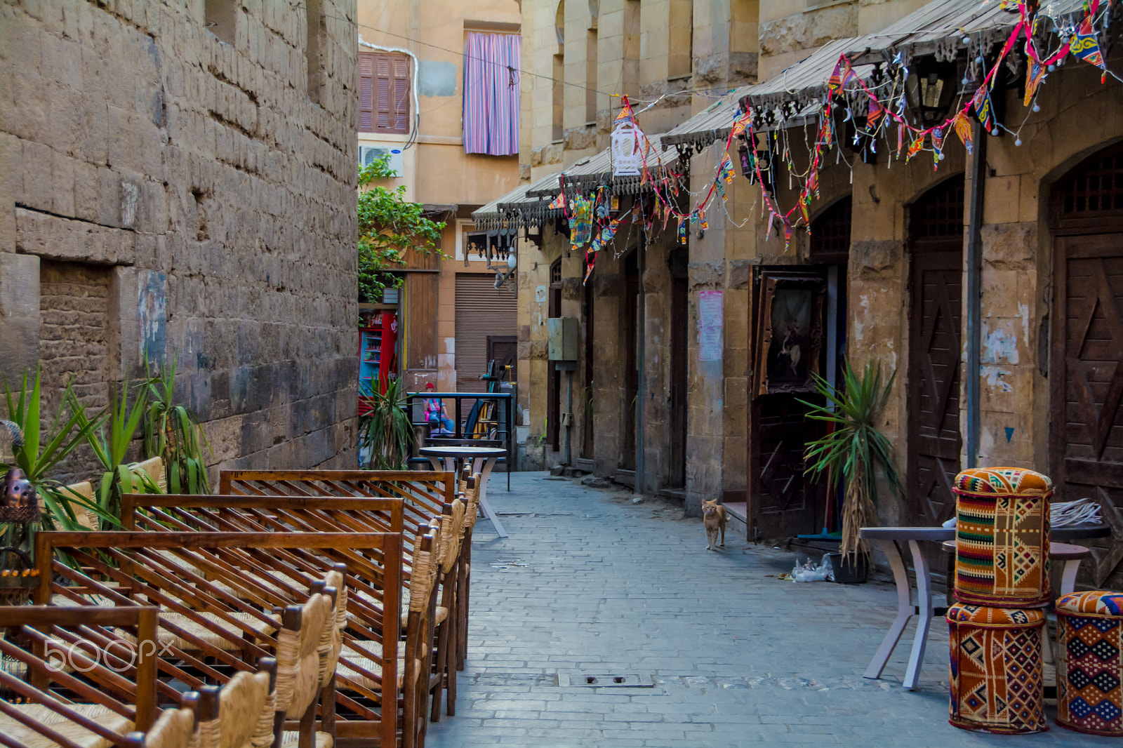 Sigma 18-250mm F3.5-6.3 DC OS HSM sample photo. Deep in cairo photography