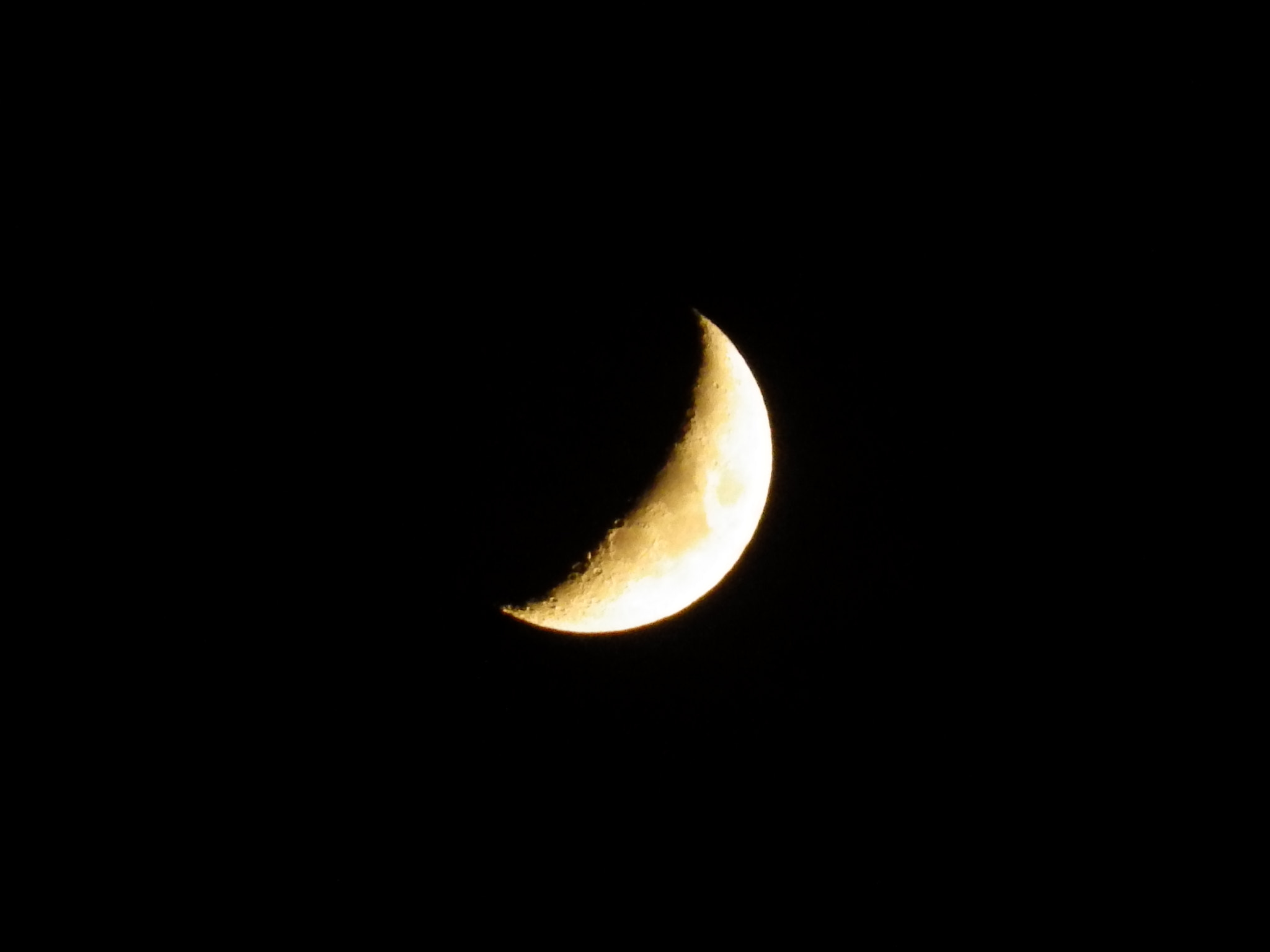 Pentax X-5 sample photo