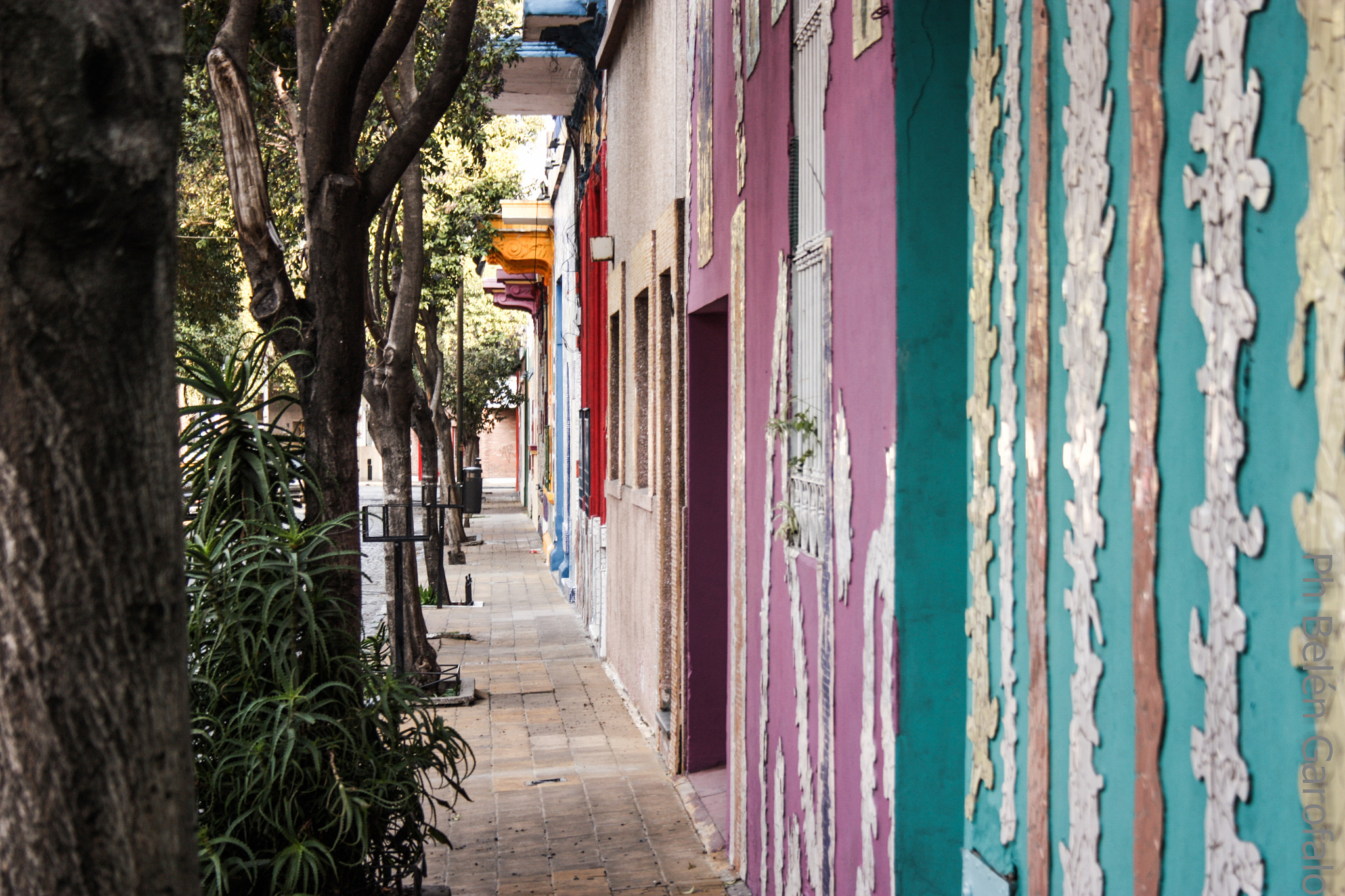 Canon EF-S 18-55mm F3.5-5.6 sample photo. Buenos aires photography