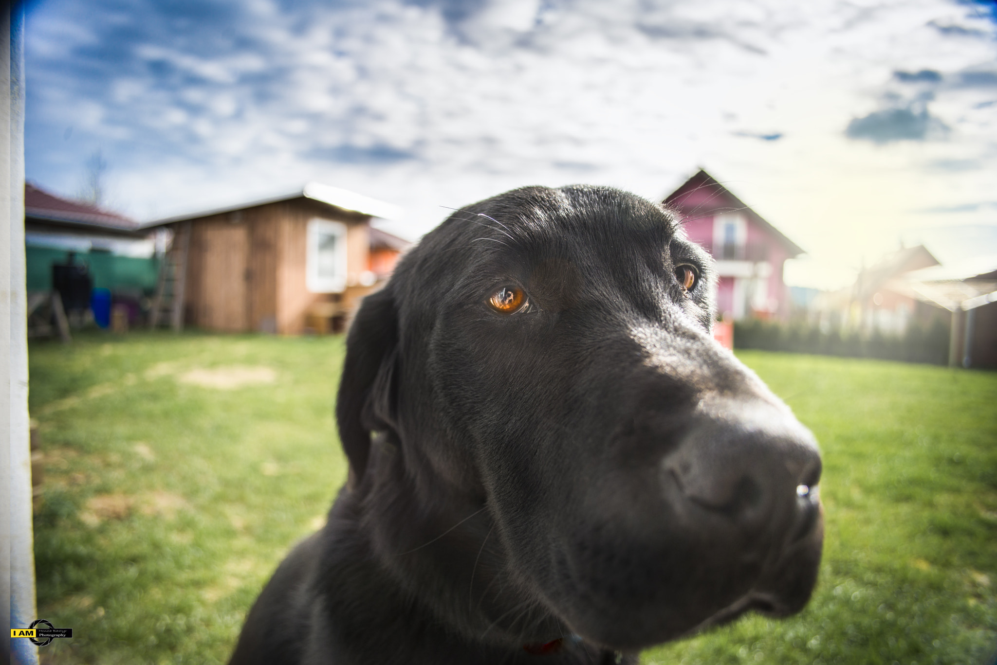 Nikon D600 sample photo. Beny´nose photography