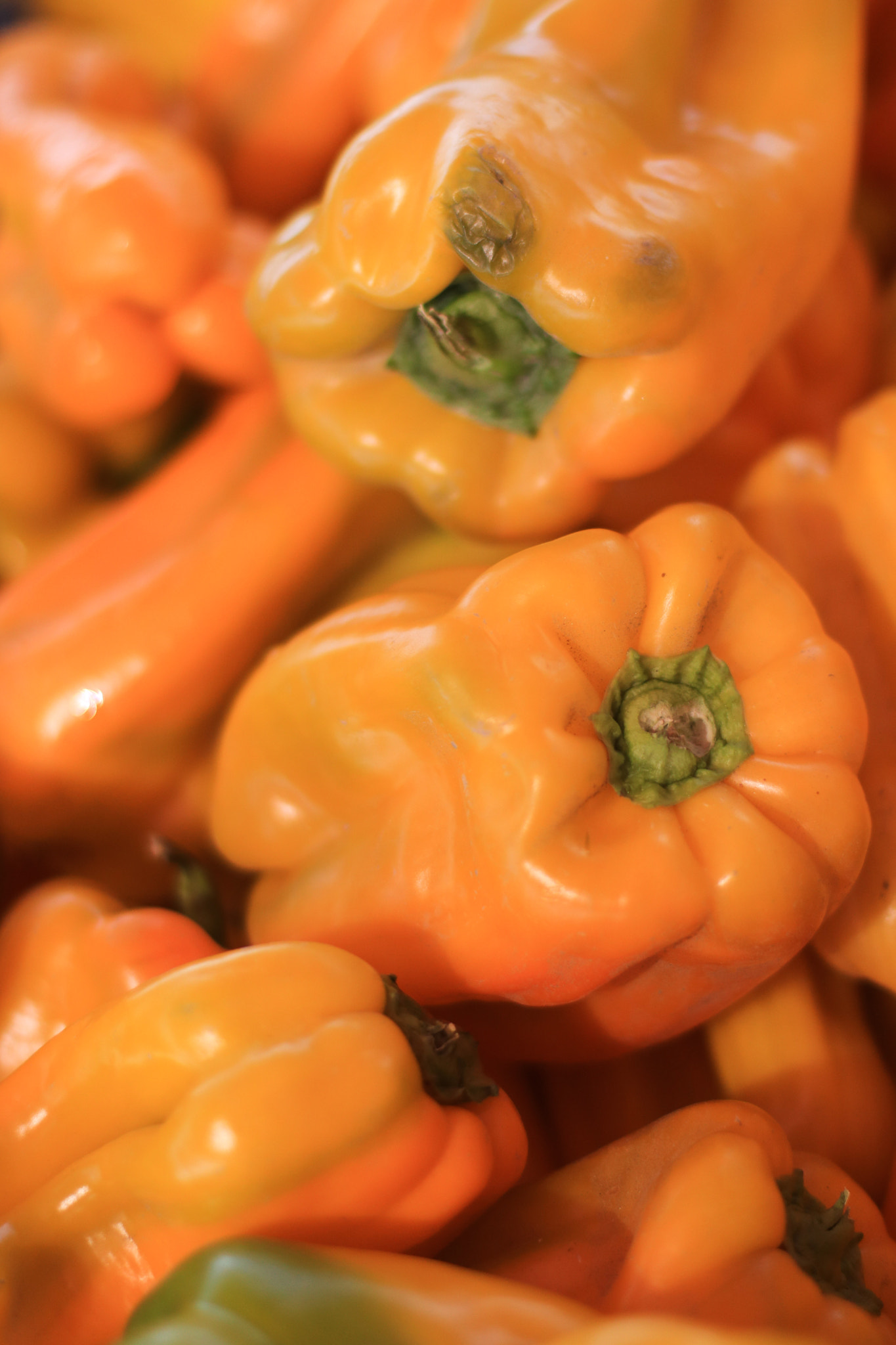 Canon EOS 760D (EOS Rebel T6s / EOS 8000D) + Canon EF 50mm F1.4 USM sample photo. Farmers market veggies photography