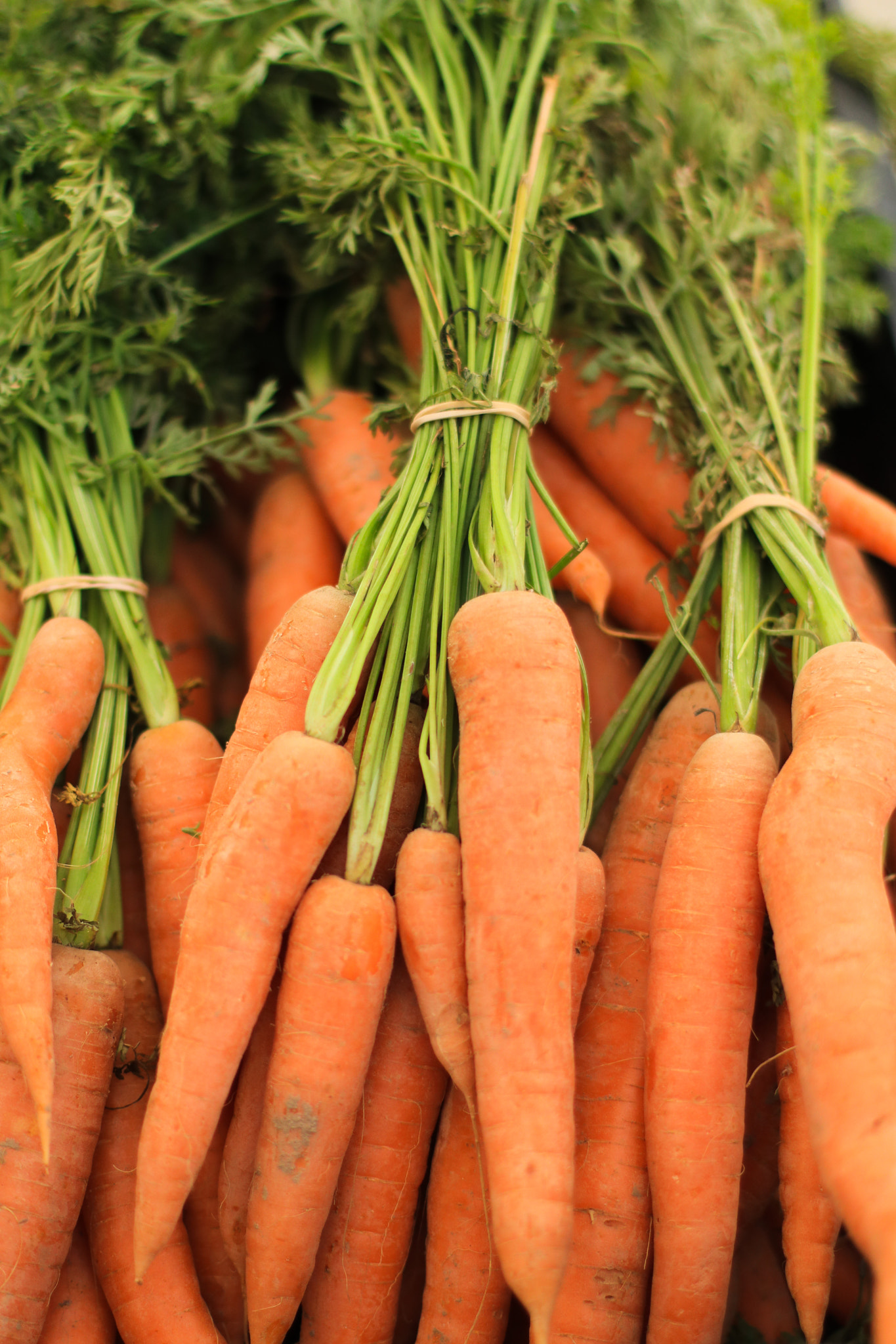 Canon EOS 760D (EOS Rebel T6s / EOS 8000D) + Canon EF 50mm F1.4 USM sample photo. Farmers market veggies photography