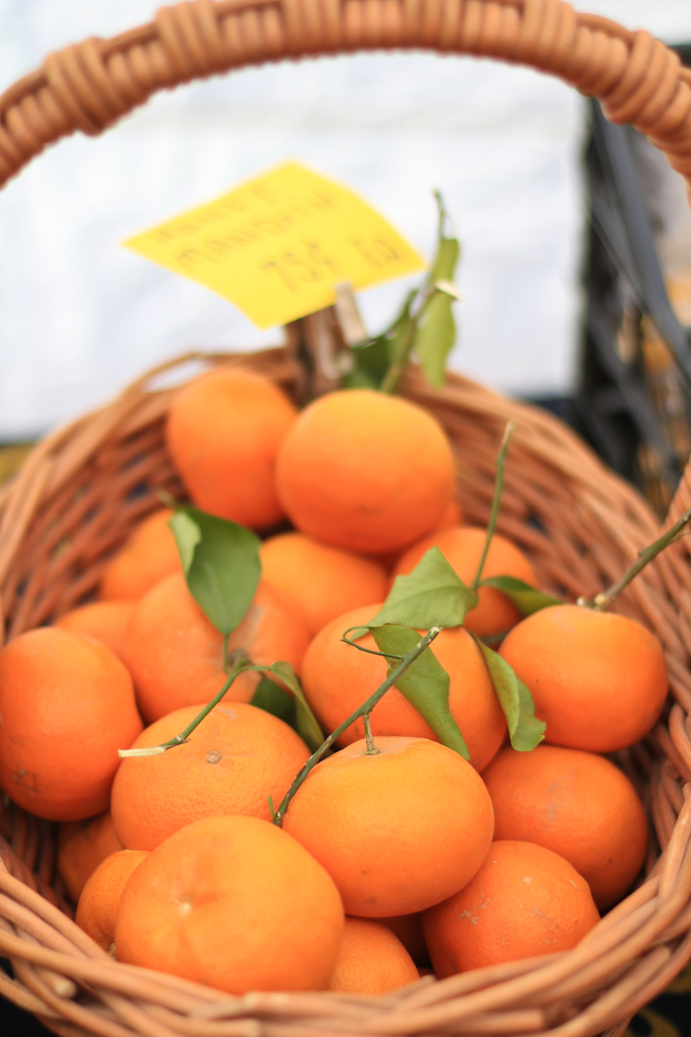 Canon EOS 760D (EOS Rebel T6s / EOS 8000D) + Canon EF 50mm F1.4 USM sample photo. Farmers market veggies photography