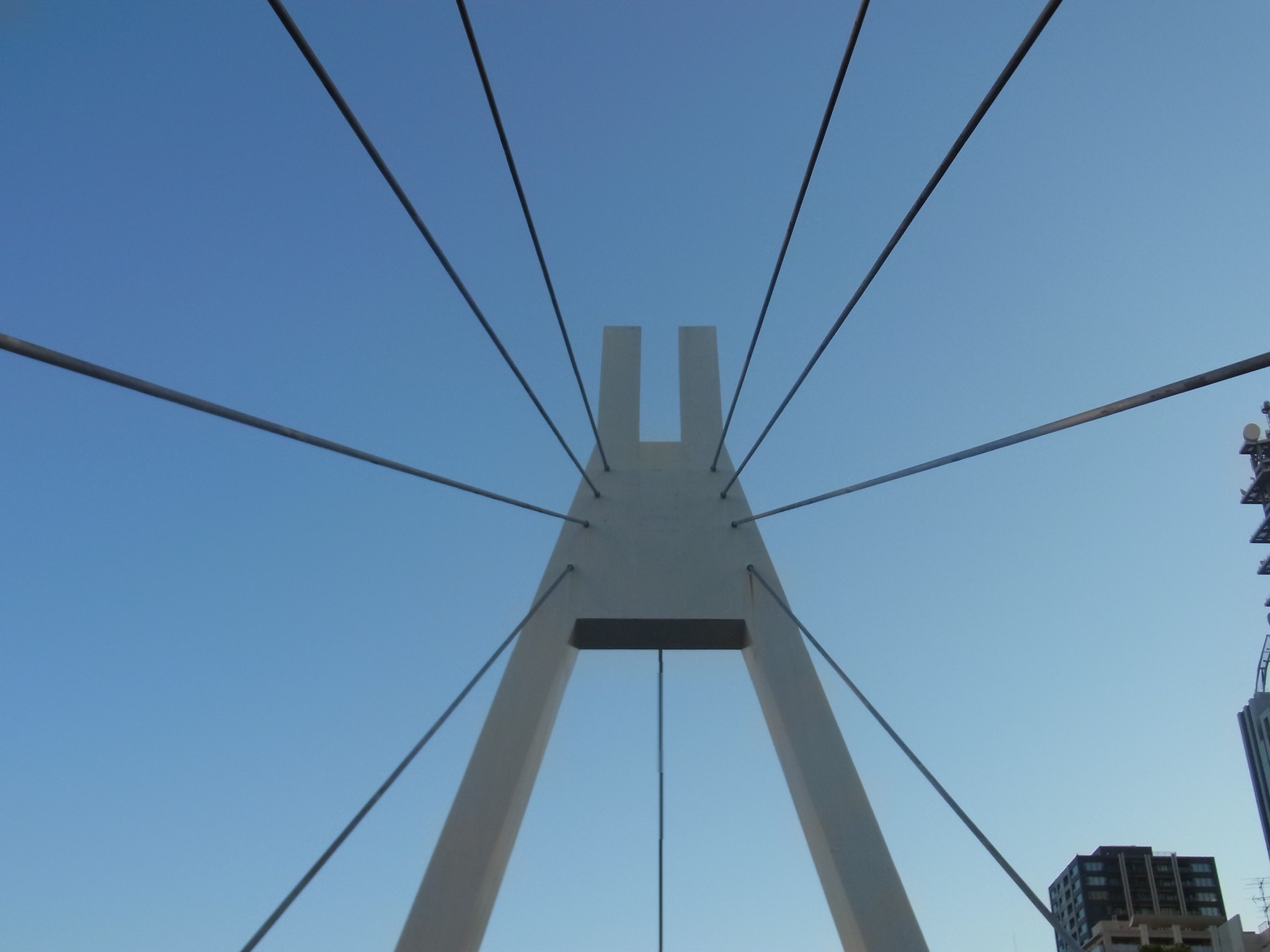 Ricoh CX4 sample photo