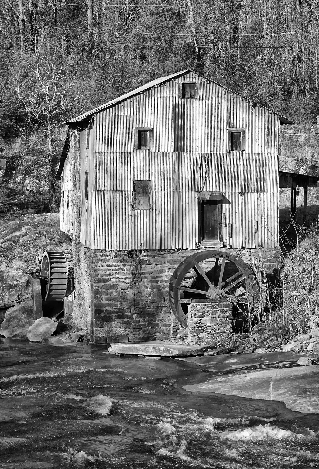 Macro-Elmar-M 1:4/90 sample photo. Anderson mill spartanburg sc photography
