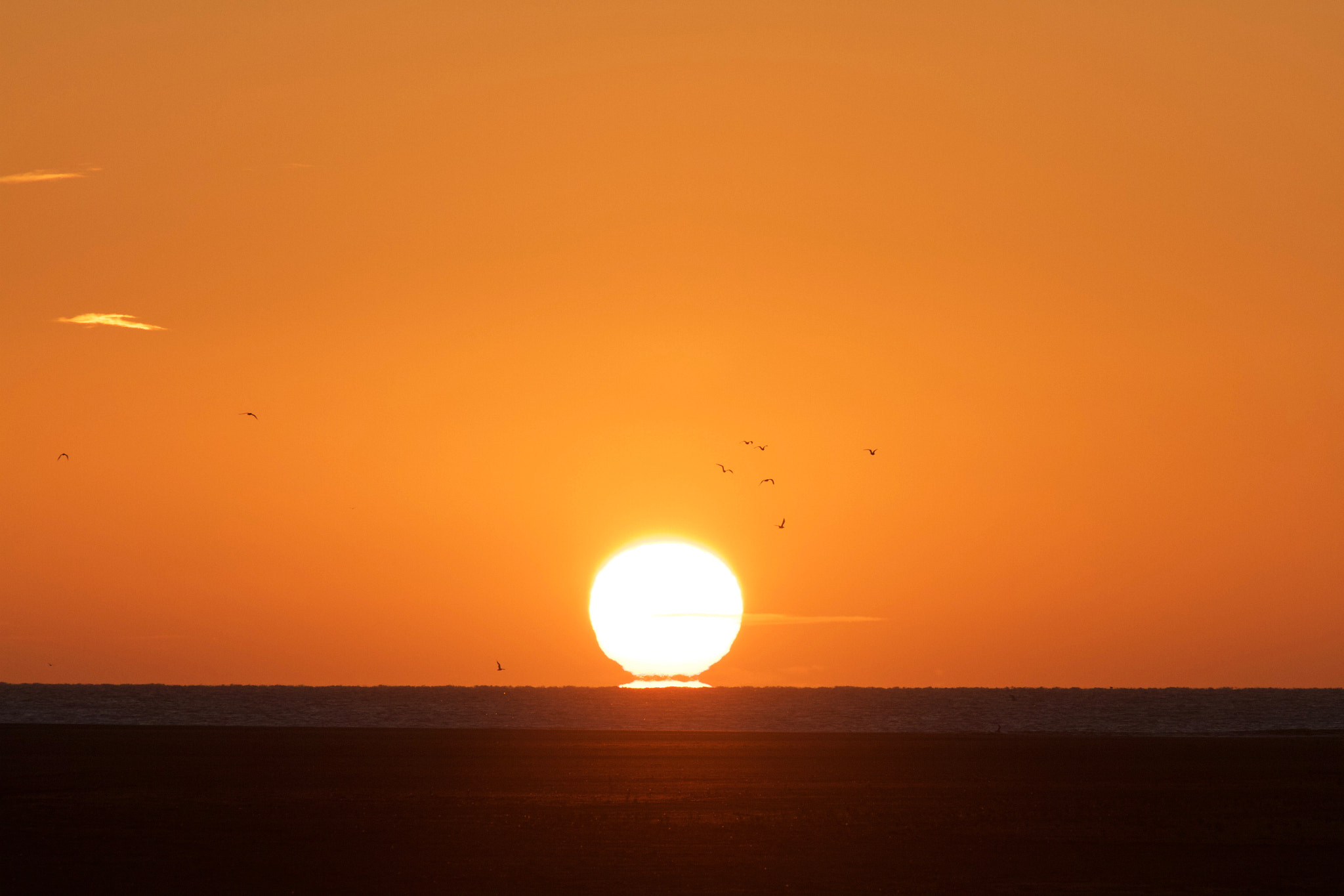 Canon EF 200mm f/1.8L + 1.4x sample photo. East coast photography