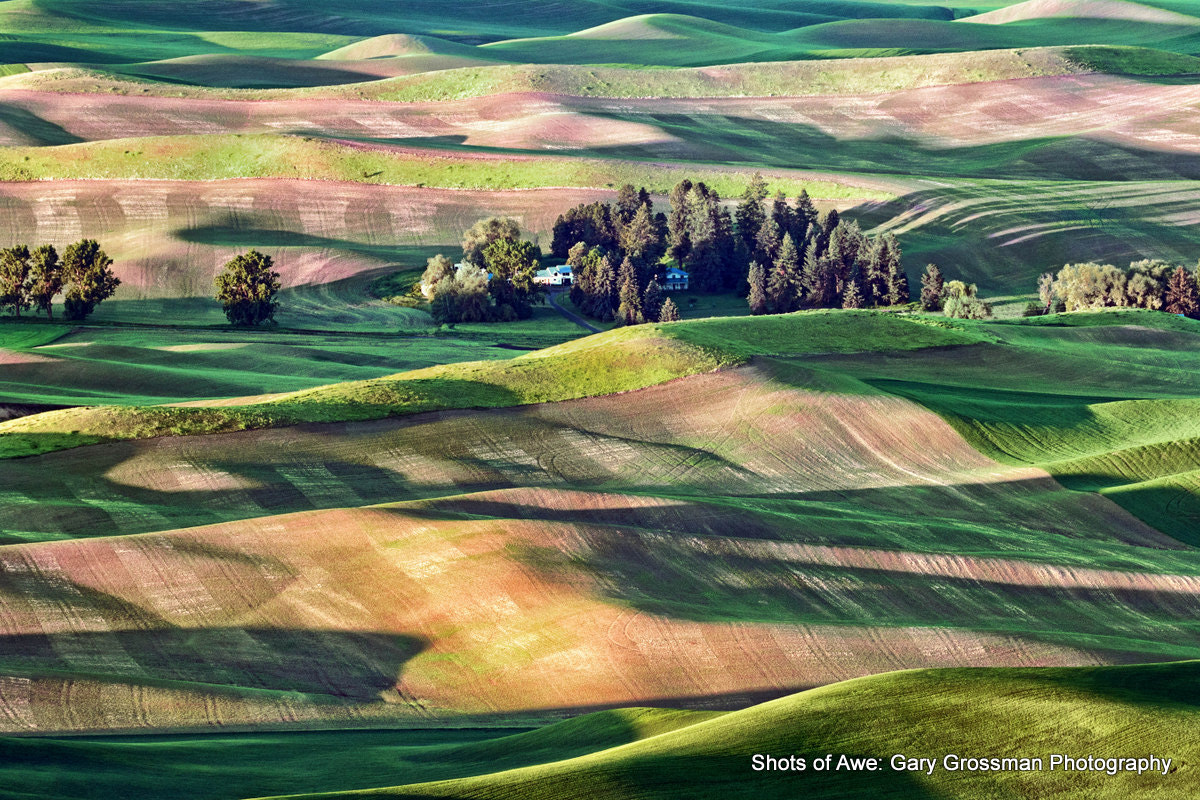 Canon EF 100-400mm F4.5-5.6L IS II USM sample photo. Palouse morning photography