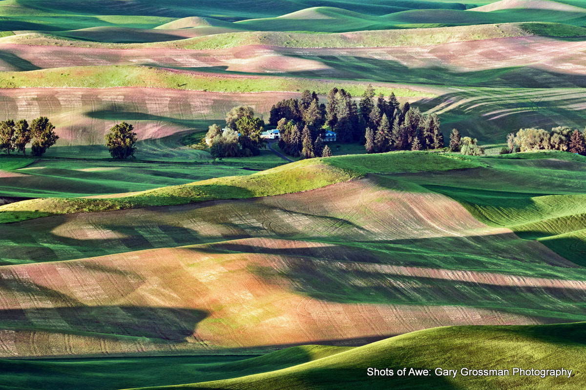 Canon EOS 7D Mark II sample photo. Palouse morning photography