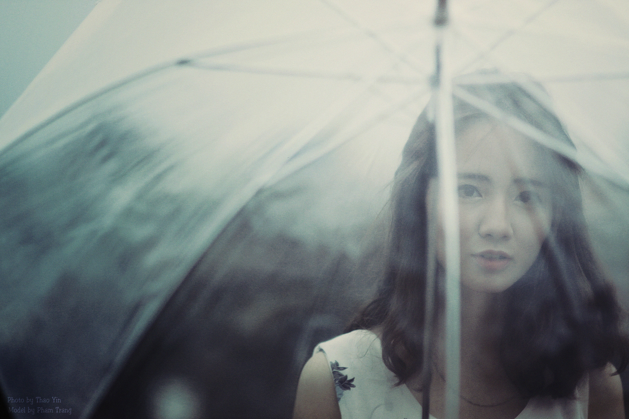 Sigma 85mm F1.4 EX DG HSM sample photo. Miss photography