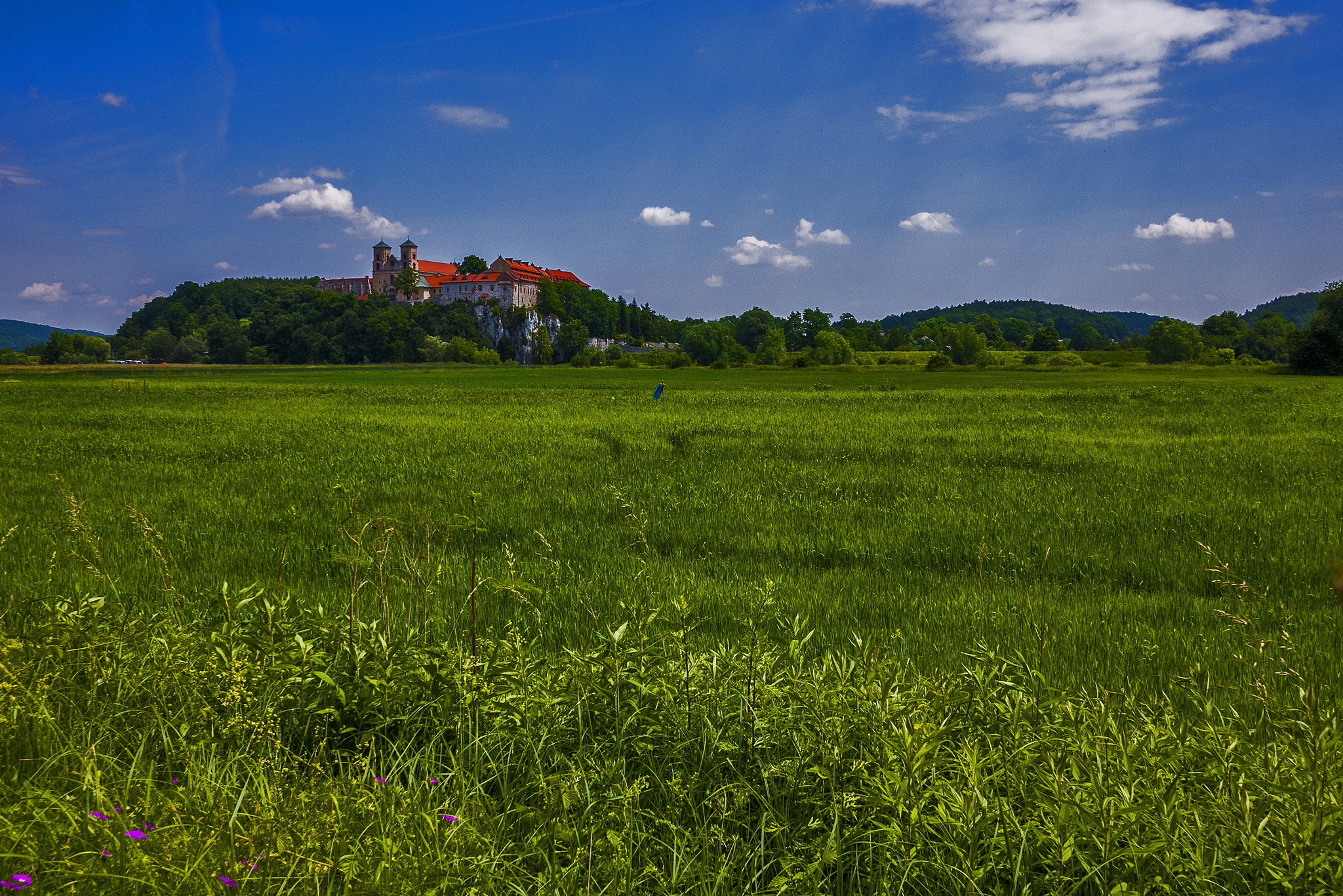 Panasonic Lumix DMC-GX7 + Panasonic Lumix G 14mm F2.5 ASPH sample photo. Flowers and castle photography