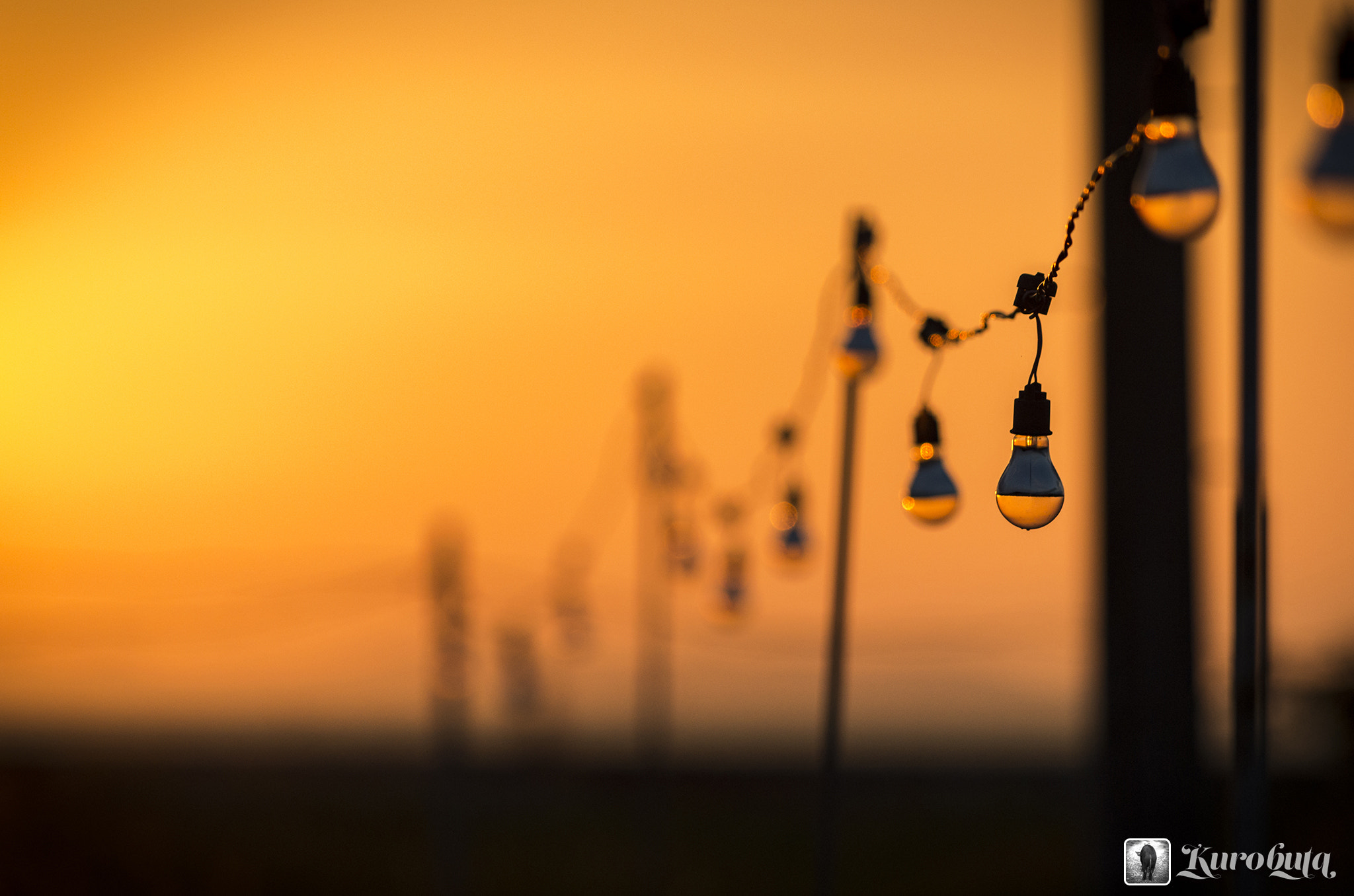 Pentax smc DA* 300mm F4.0 ED (IF) SDM sample photo. Dusk of the field photography
