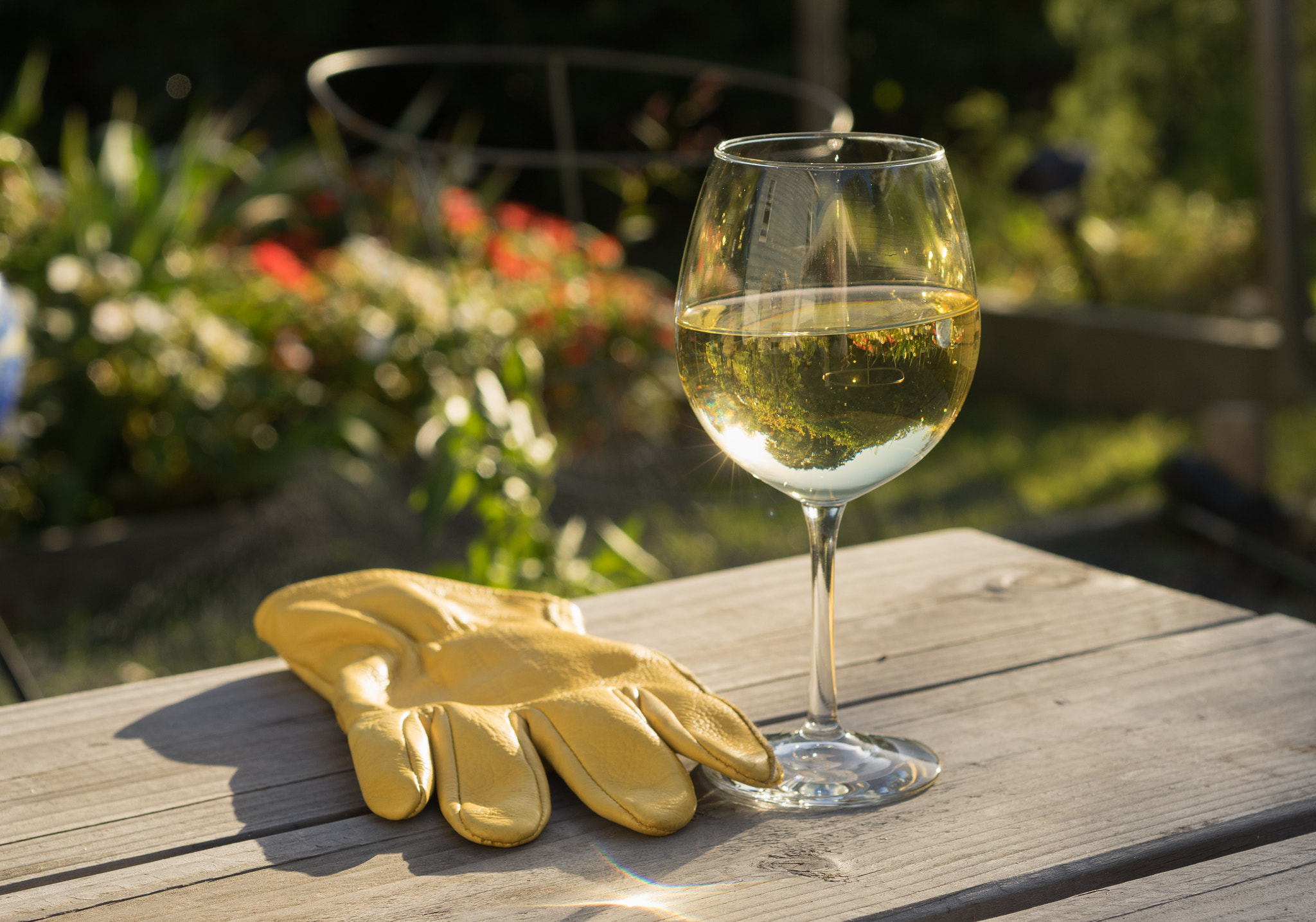 Sony a7R + Sony 50mm F2.8 Macro sample photo. Wine and gardening photography