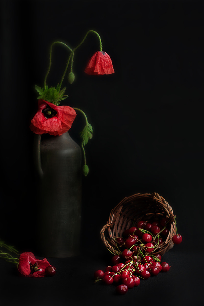 Canon EF 100mm F2.8 Macro USM sample photo. Red , seasonal photography