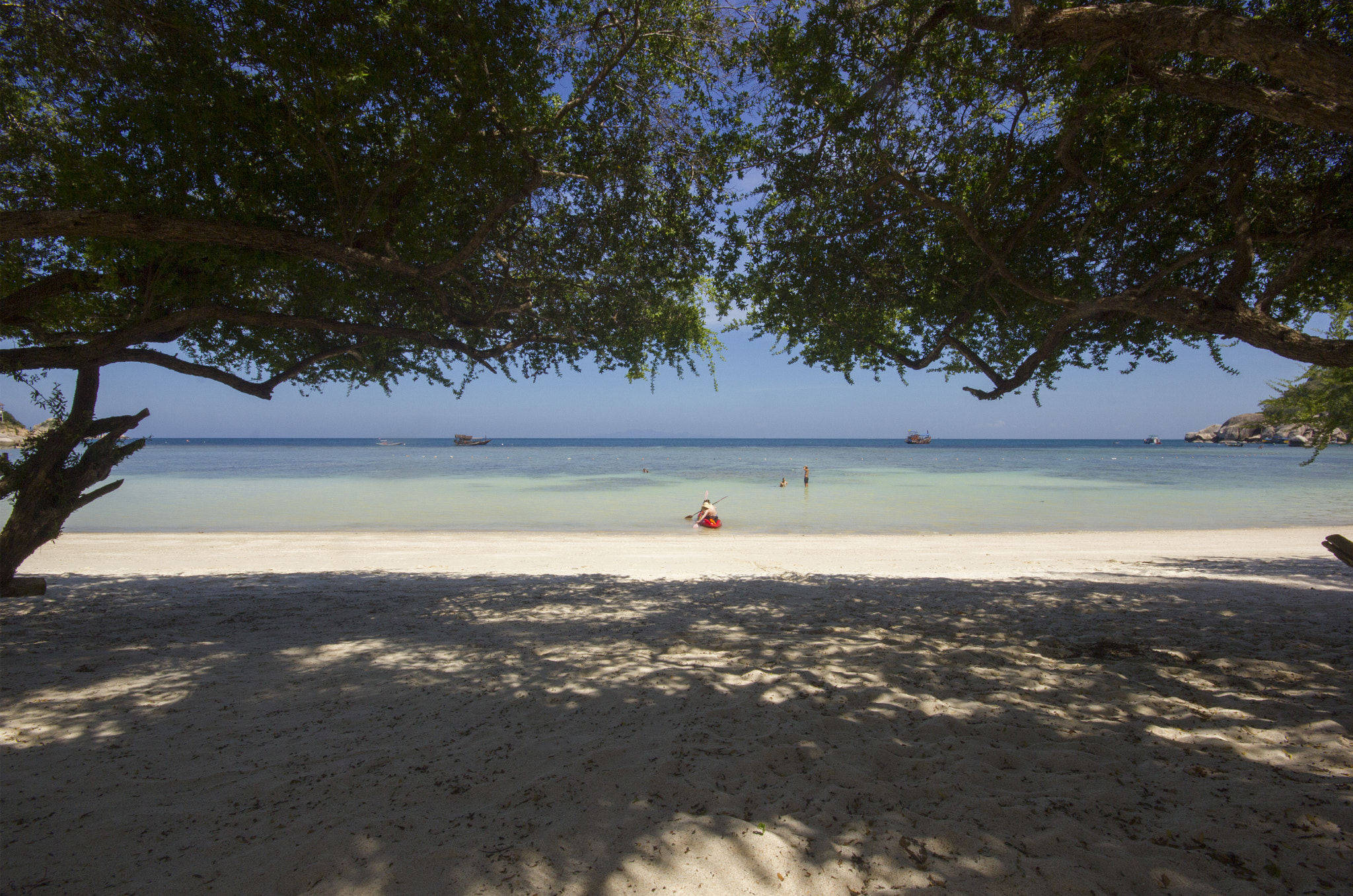 Canon EOS 550D (EOS Rebel T2i / EOS Kiss X4) sample photo. Shark bay kohtao thailan photography