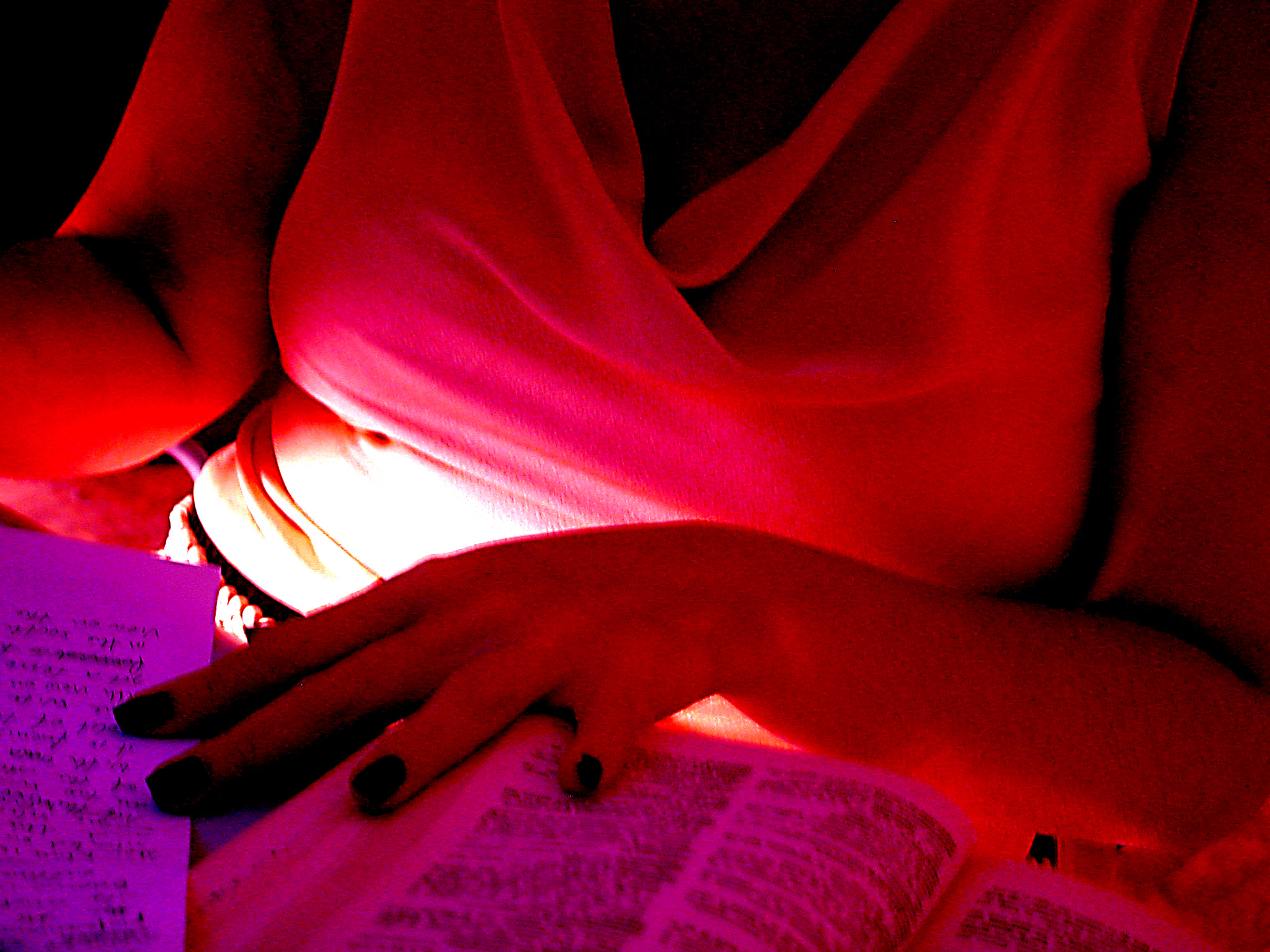 Nikon E990 sample photo. Erostrip photography