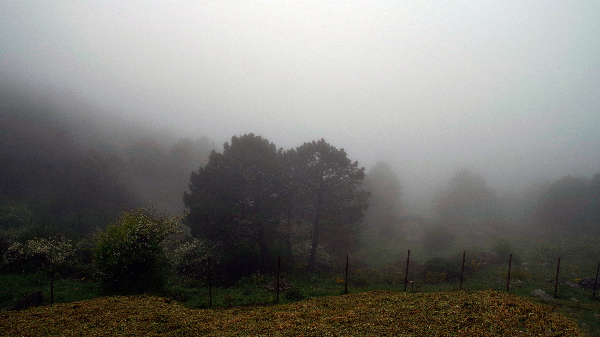 Pentax K-S1 sample photo. Cloudy day photography
