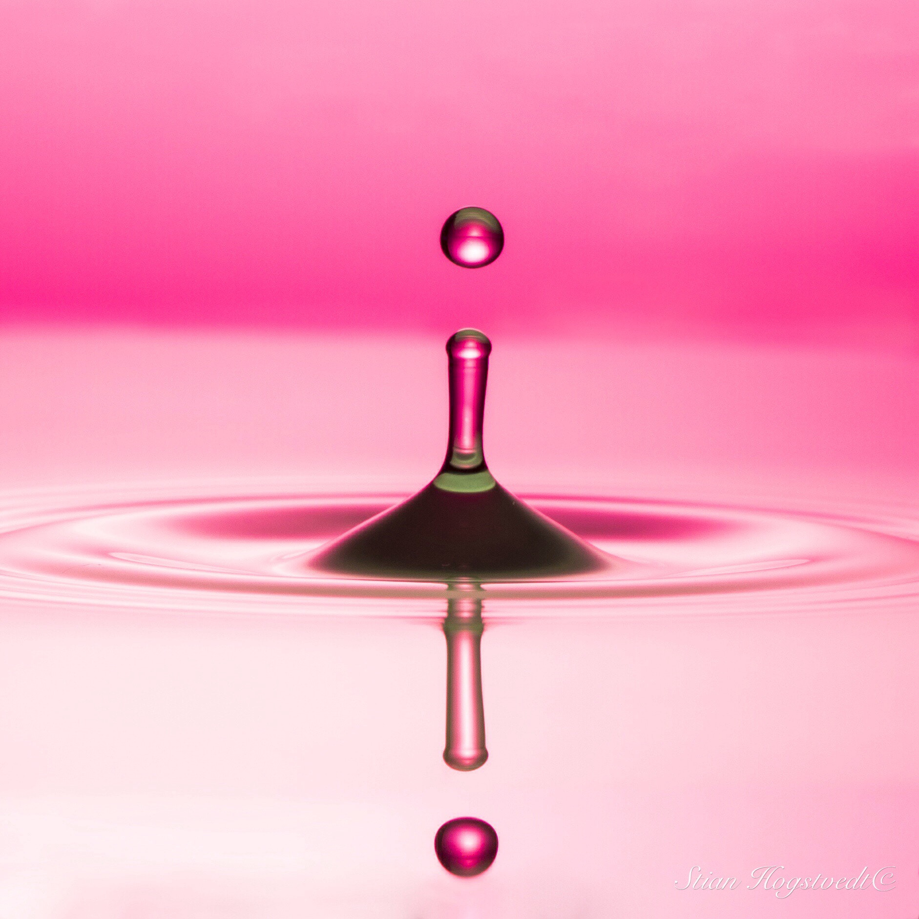 Sony ILCA-77M2 + 105mm F2.8 sample photo. "reflecting drop" photography