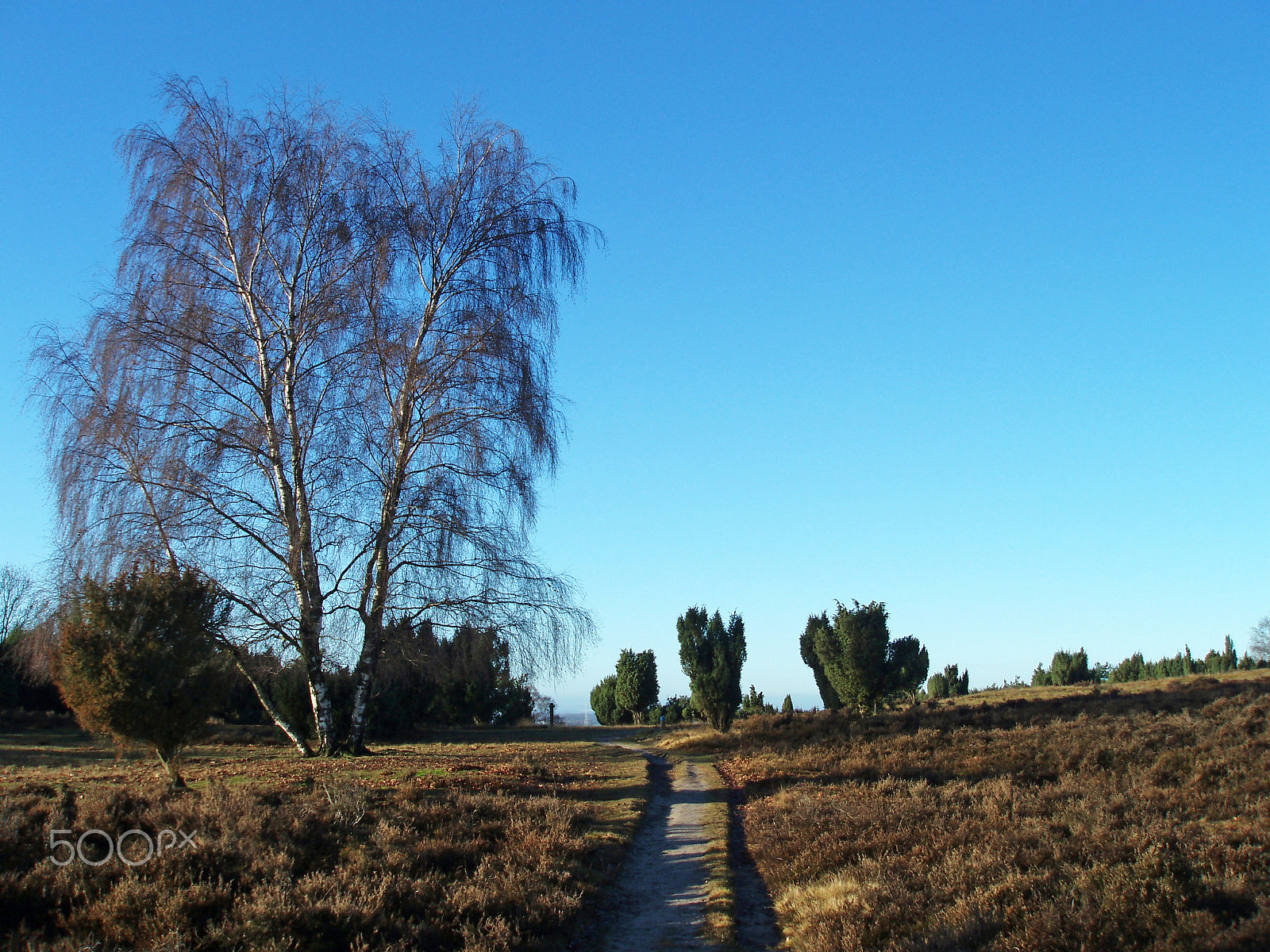 Olympus uD800,S800 sample photo. Blue sky photography