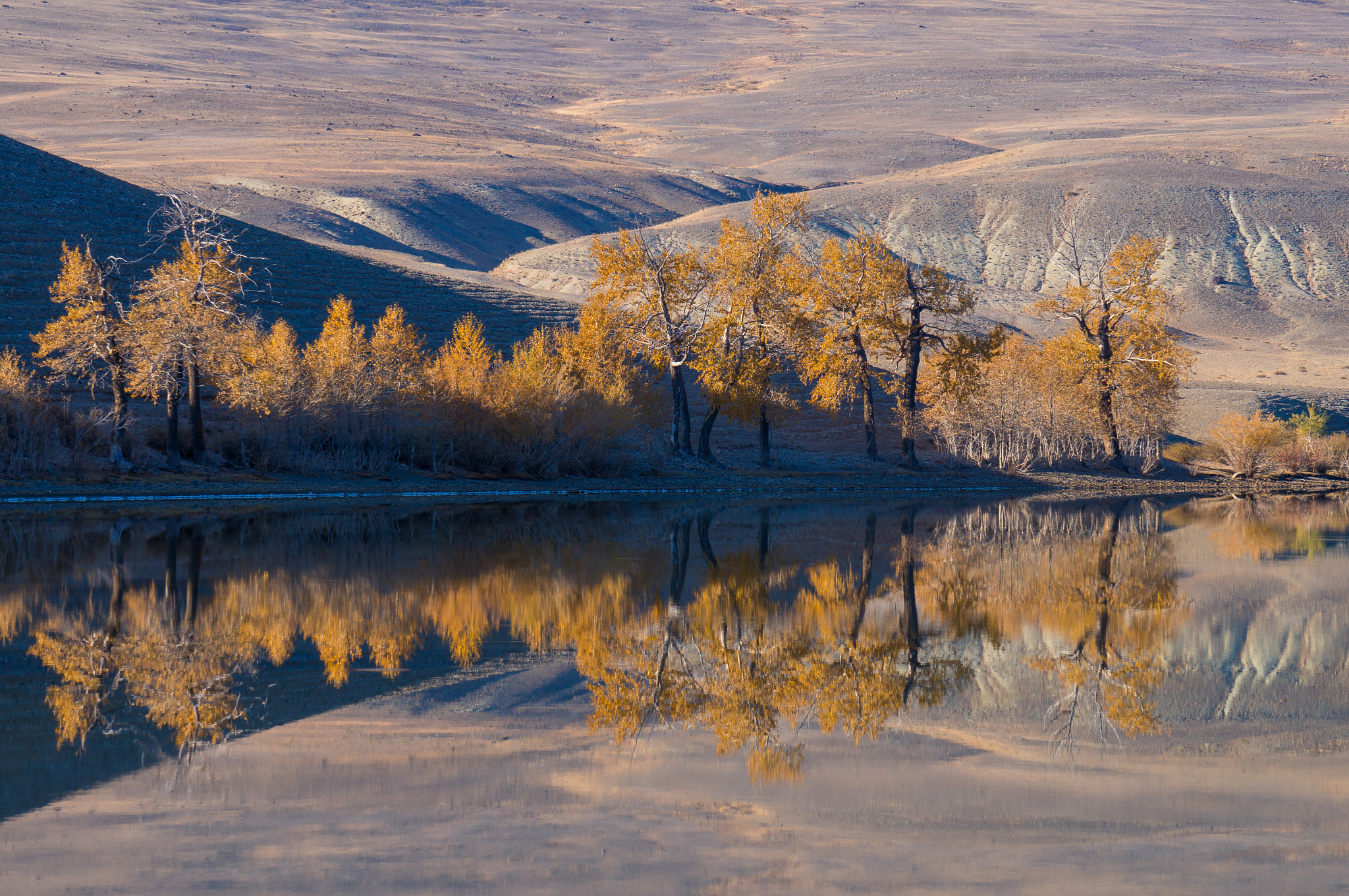 Sony Alpha NEX-5R + Sony E 55-210mm F4.5-6.3 OSS sample photo. Krasnogorskoe lake, altai. photography