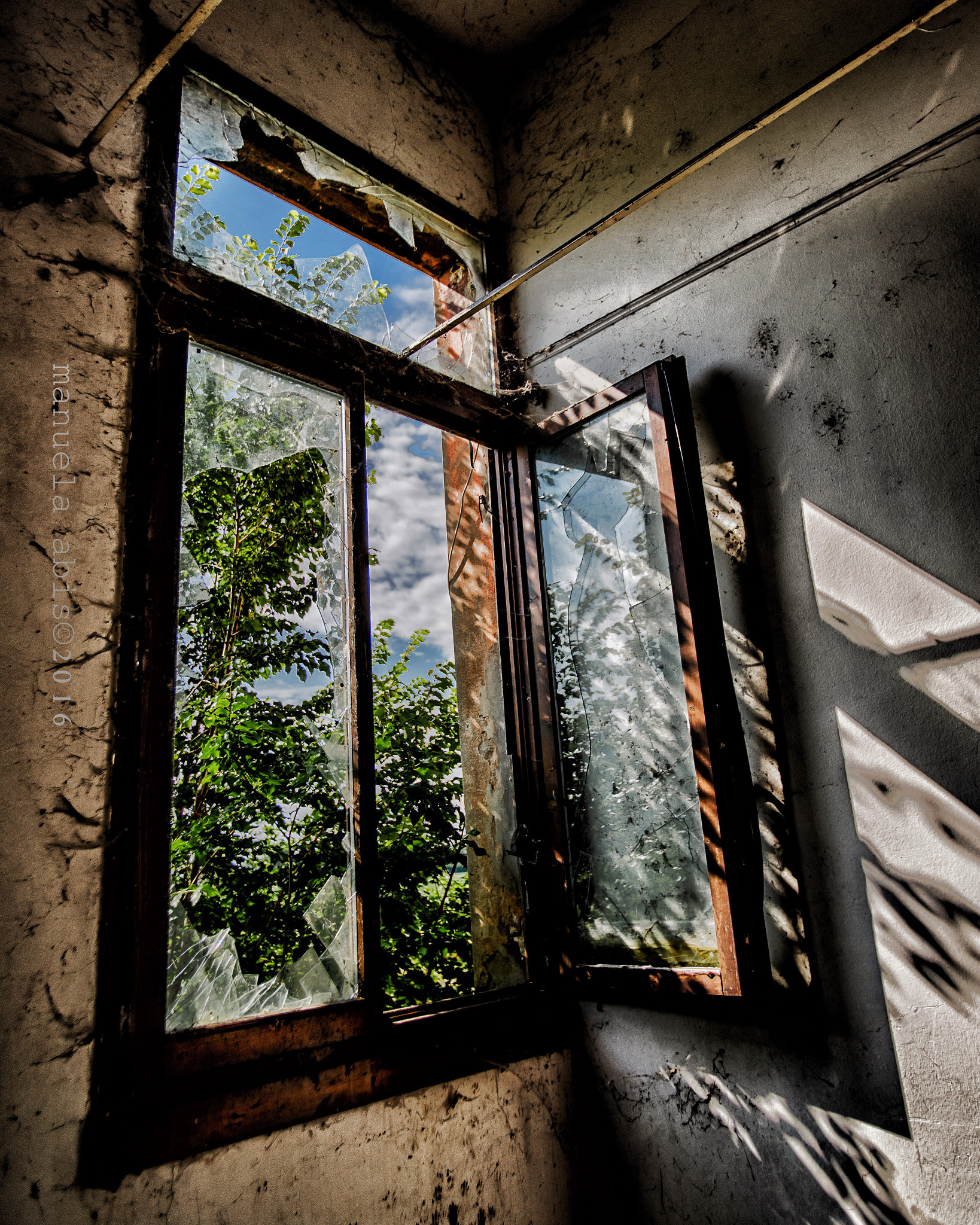 Nikon D600 sample photo. Window photography