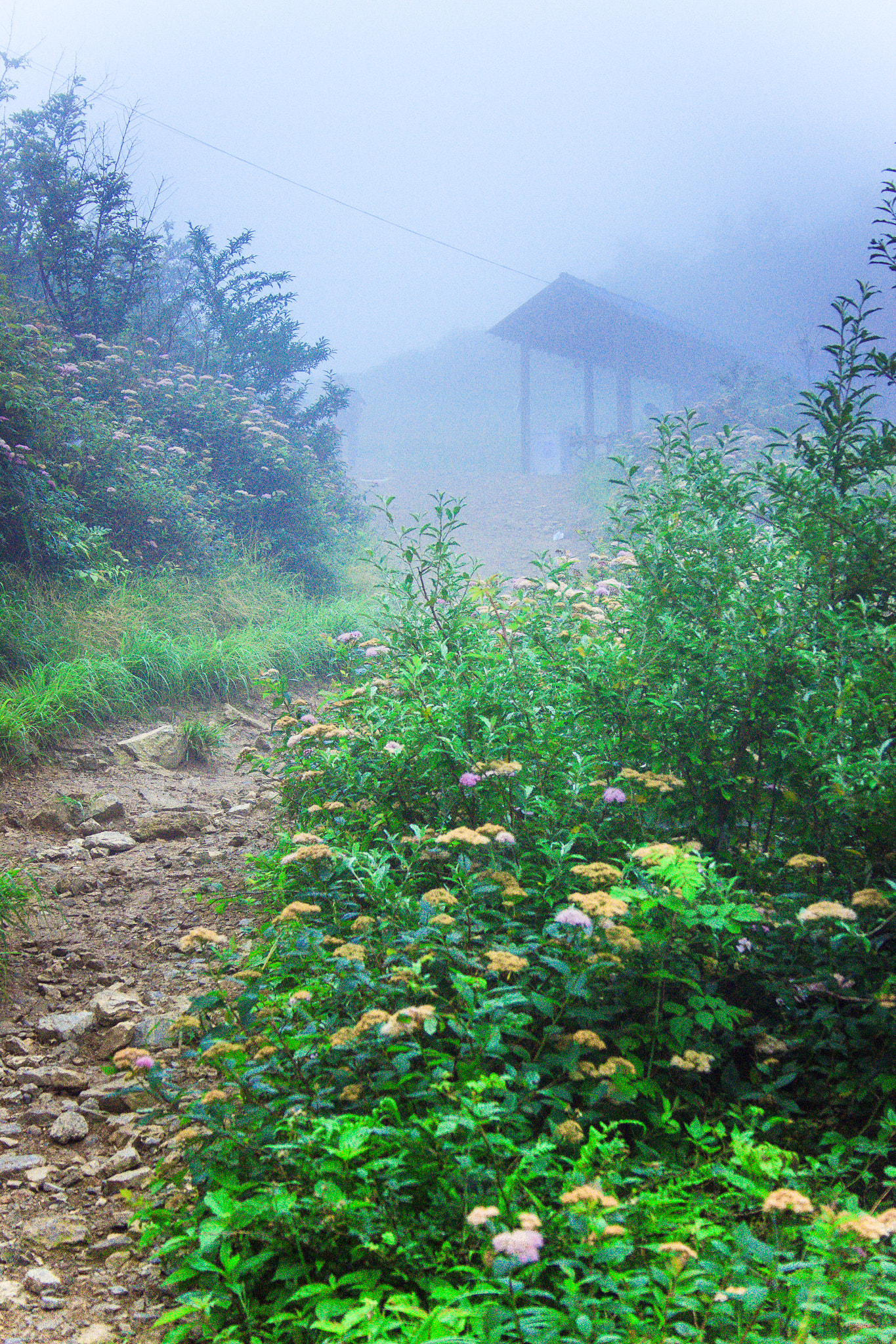Canon EF-S 18-55mm F3.5-5.6 sample photo. The mountain trail in the early morning photography