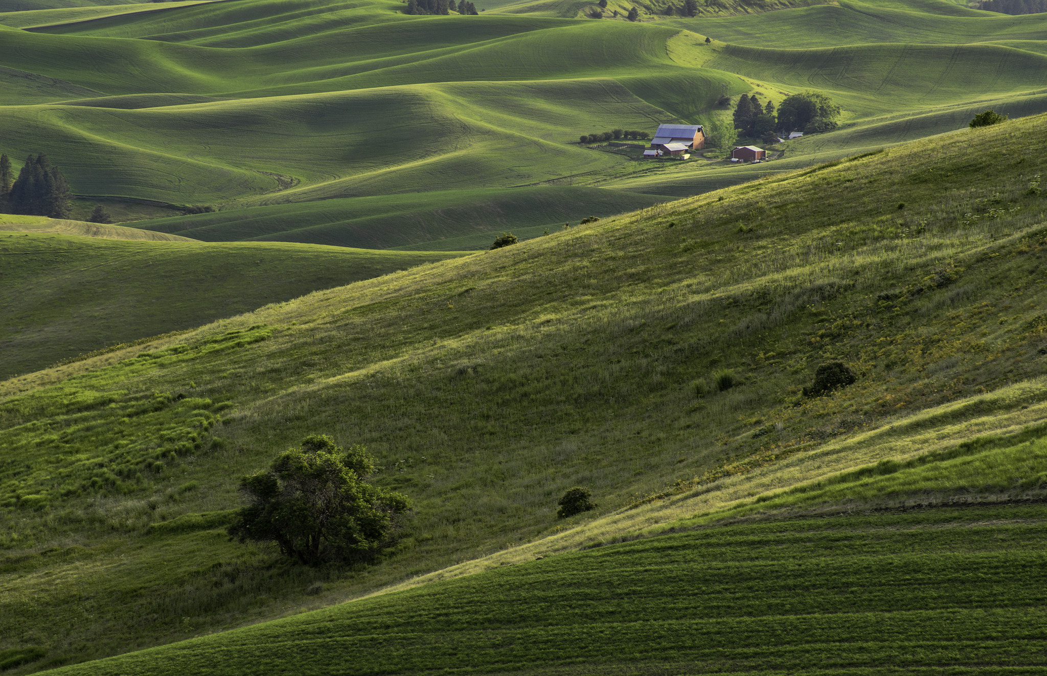 Sony a7R sample photo. The farm photography