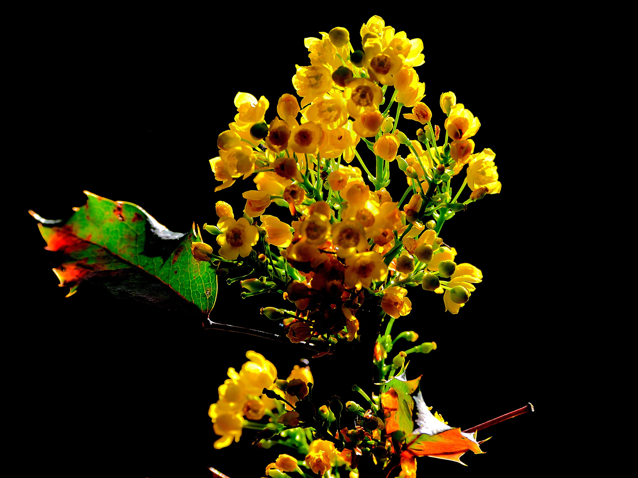 Nikon D600 sample photo. Untitled photography