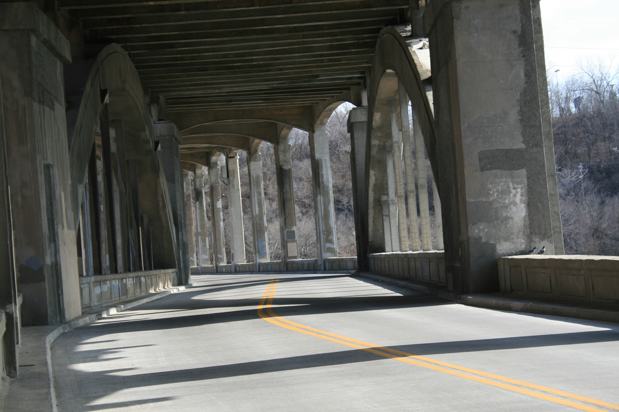 Canon EF-S 18-55mm F3.5-5.6 sample photo. Under road photography