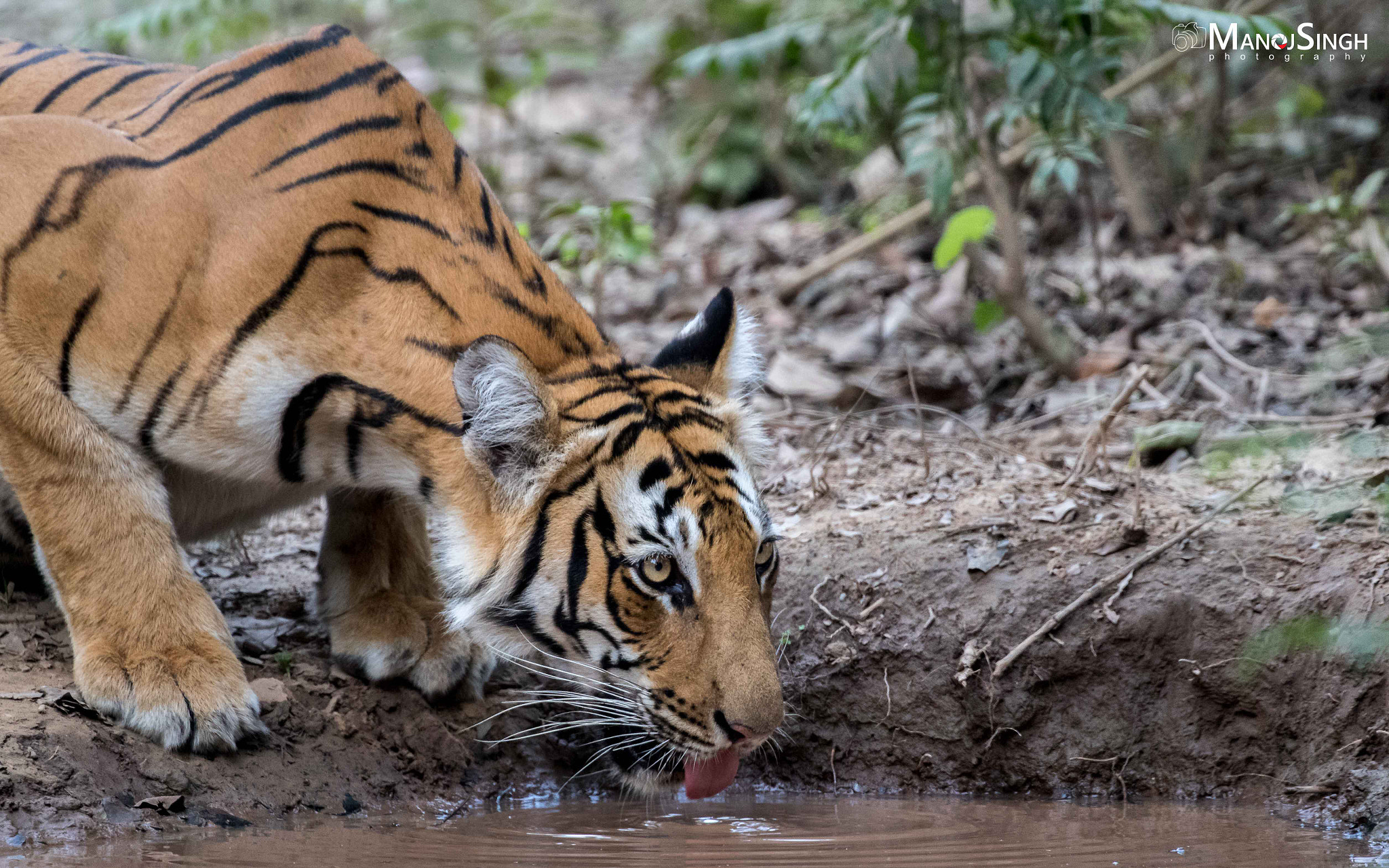 Canon EOS 7D Mark II + Canon EF 100-400mm F4.5-5.6L IS II USM sample photo. _u6a9514.jpg photography