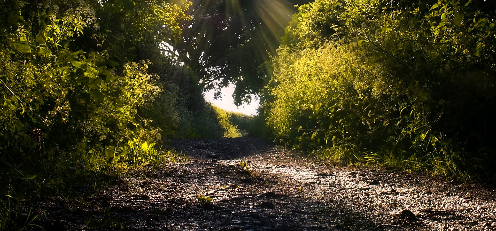 Panasonic Lumix DMC-GF6 + Sigma 30mm F2.8 DN Art sample photo. Light & shadows photography
