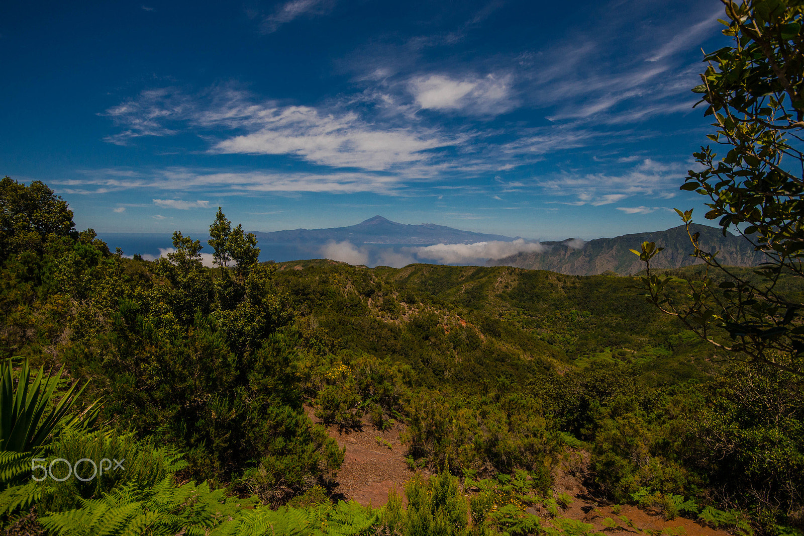 Sigma 10-20mm F4-5.6 EX DC HSM sample photo. Teide desde la gomera photography