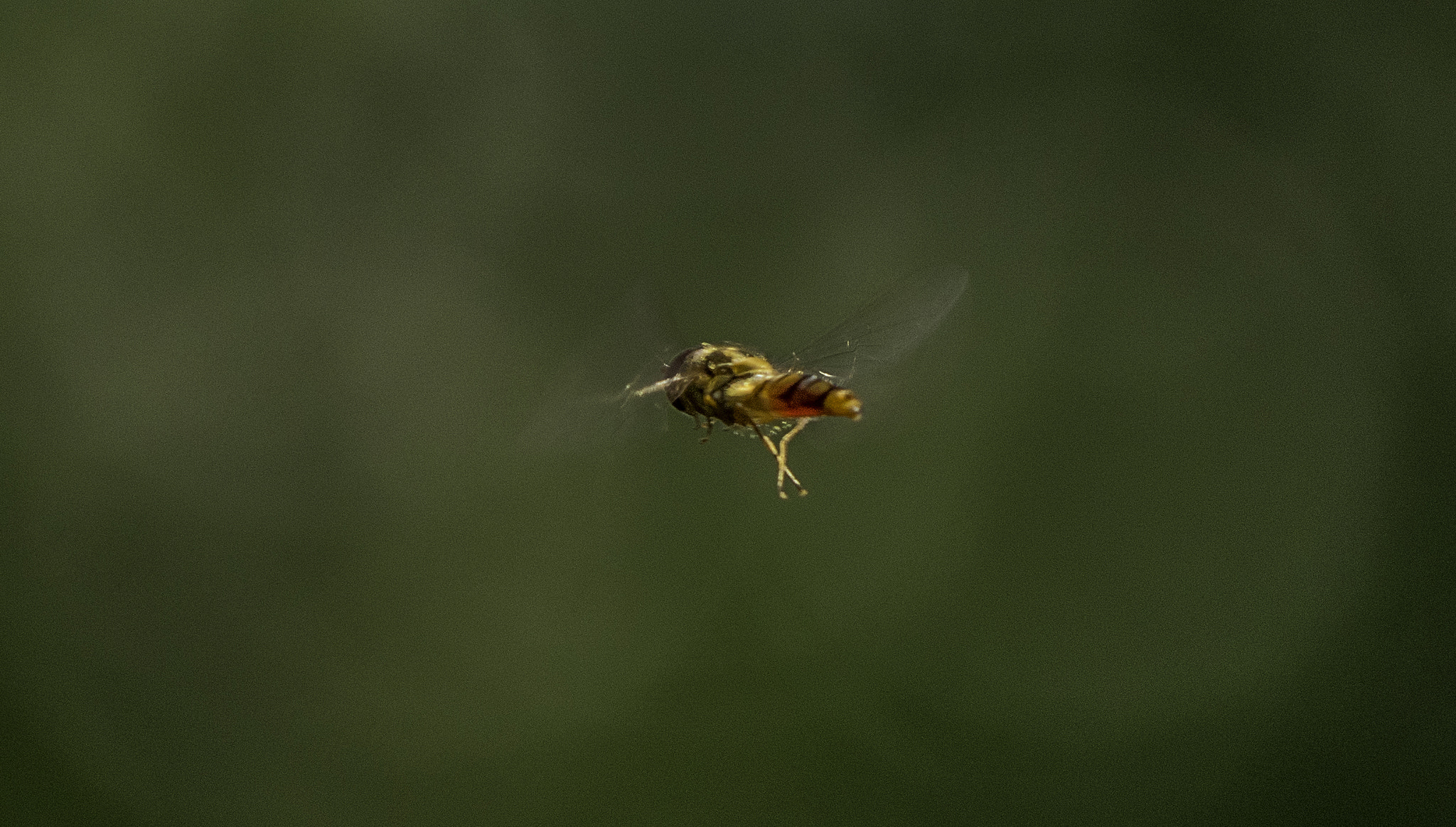 Panasonic Lumix DMC-GH4 sample photo. Unknown photography