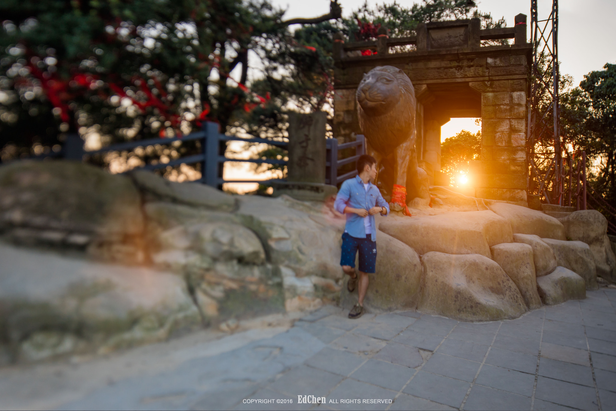 Canon EOS 5DS R + Canon TS-E 17mm F4L Tilt-Shift sample photo. Self-portrait photography