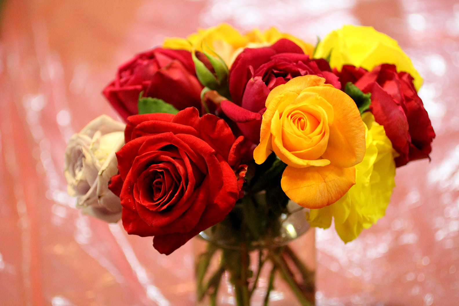 Canon EOS 60D + Canon EF 50mm F2.5 Macro sample photo. Love photography