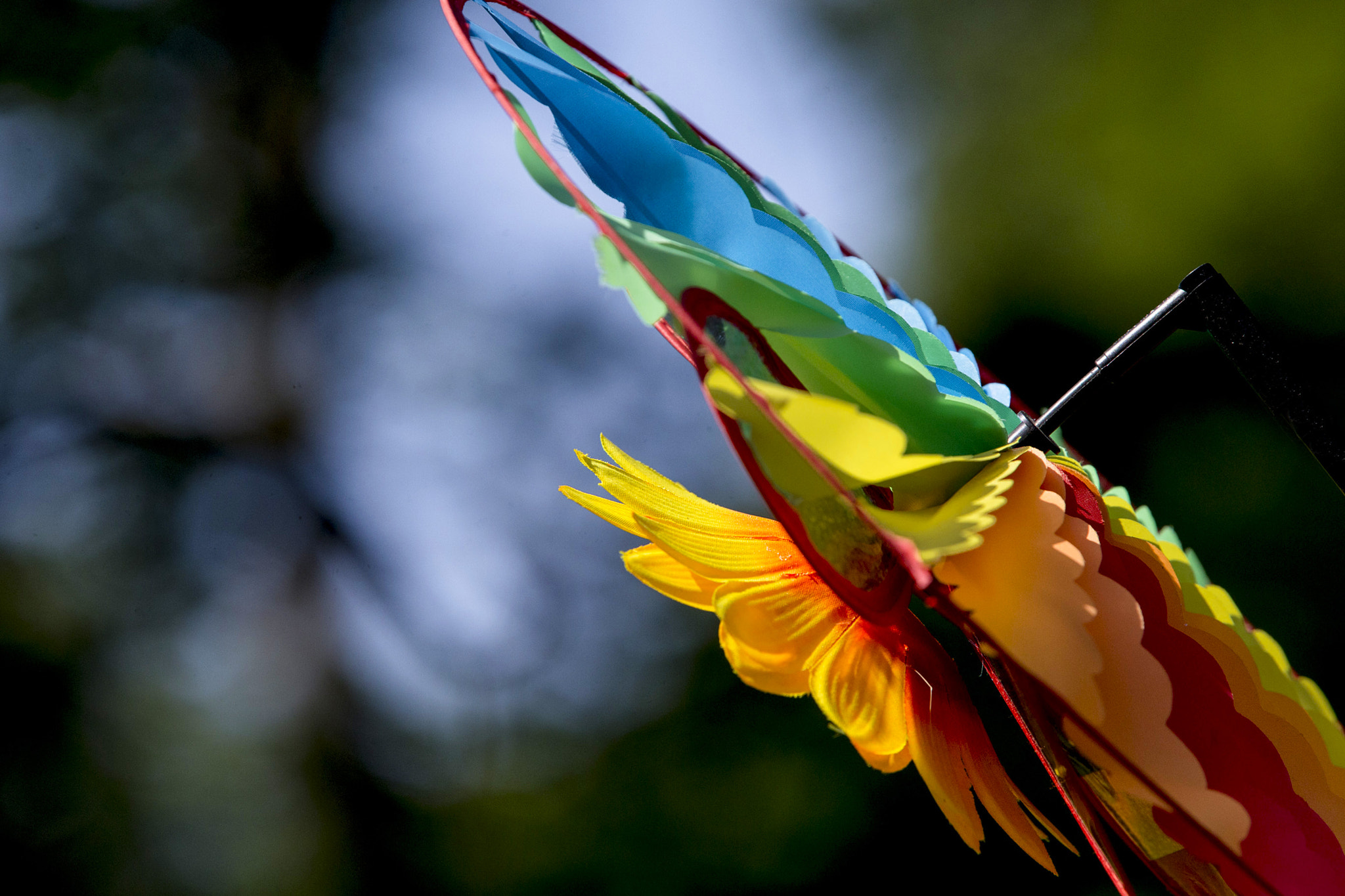 Canon EOS-1D X sample photo. Spinner #1 photography