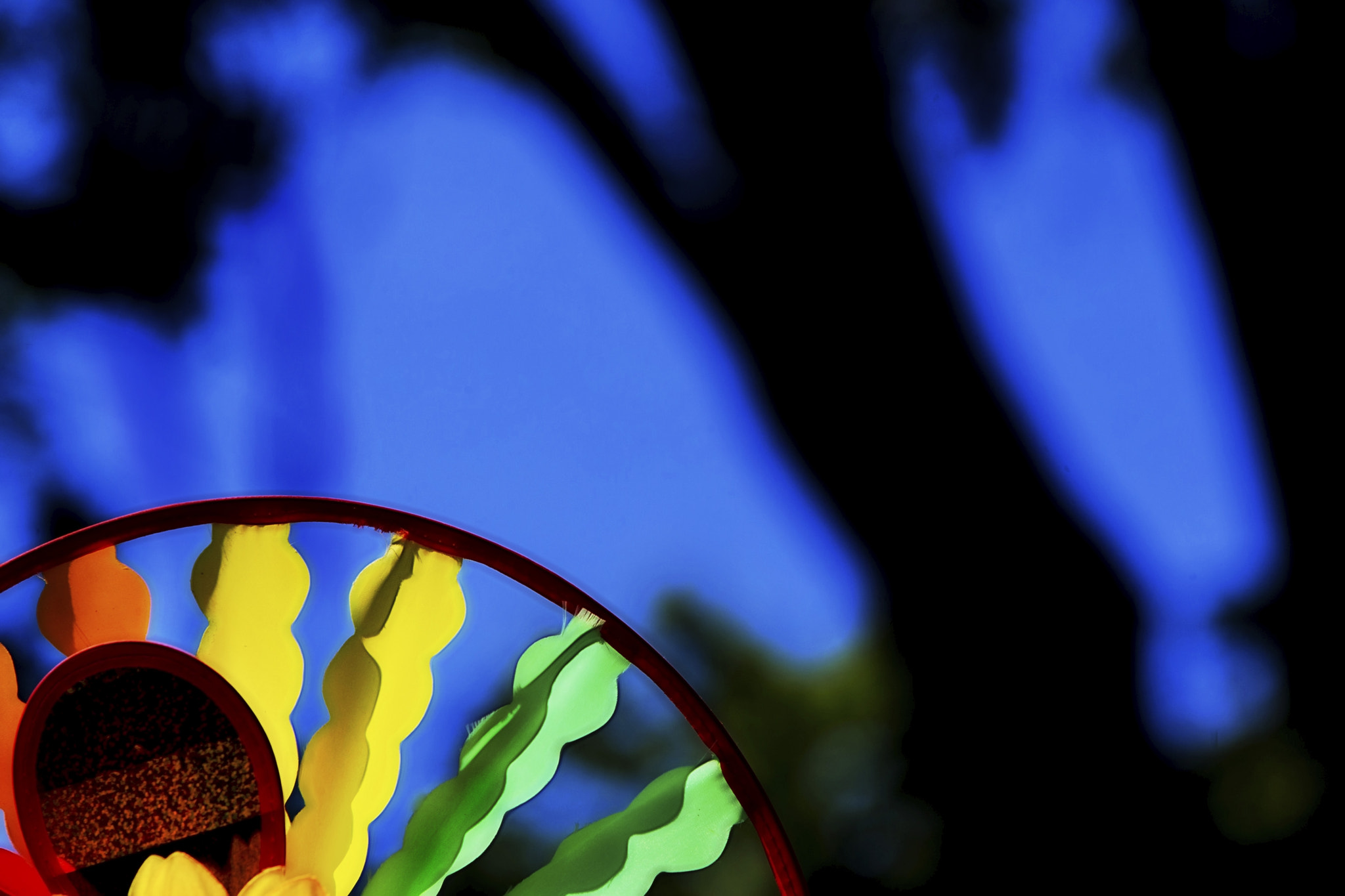 Canon EOS-1D X sample photo. Spinner #3 photography